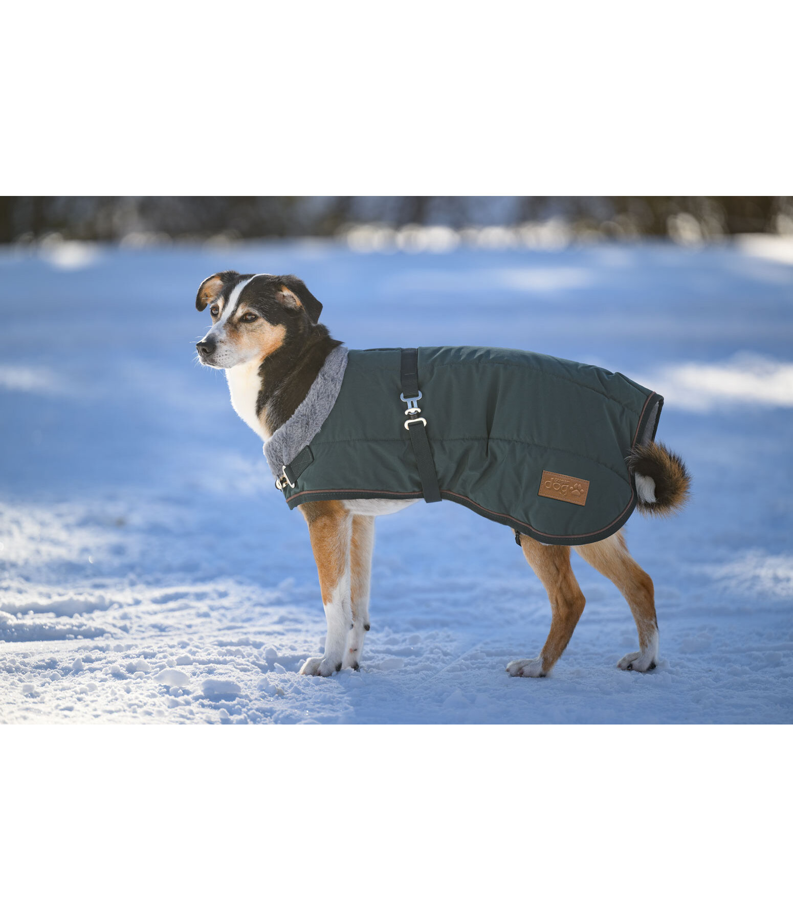 Winter Dog Coat Gizmo with Faux Fur Lining, 200g