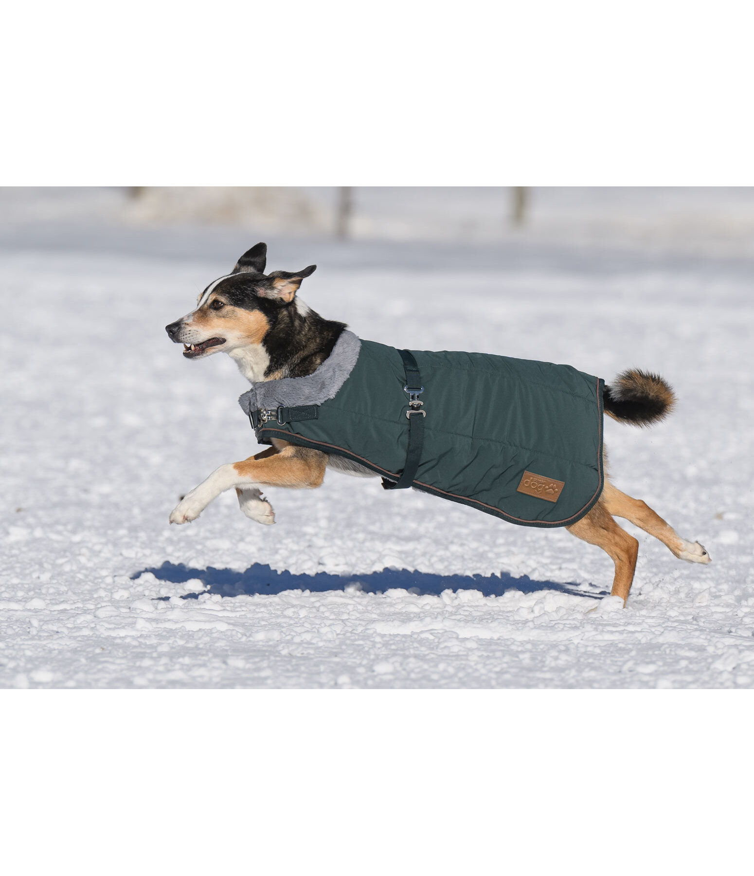Winter Dog Coat Gizmo with Faux Fur Lining, 200g