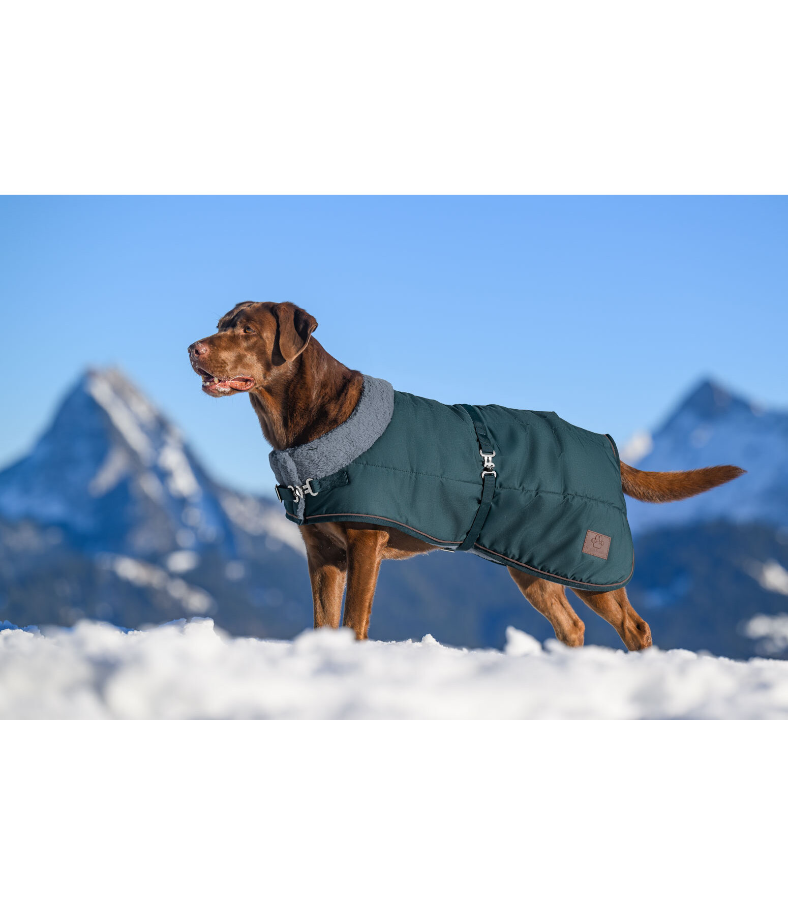 Winter Dog Coat Gizmo with Faux Fur Lining, 200g
