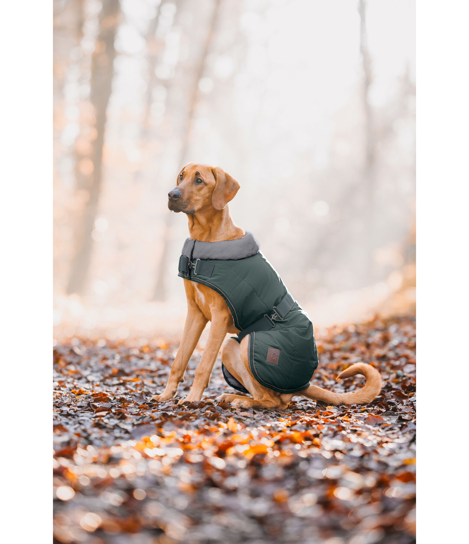 Winter Dog Coat Gizmo with Faux Fur Lining, 200g