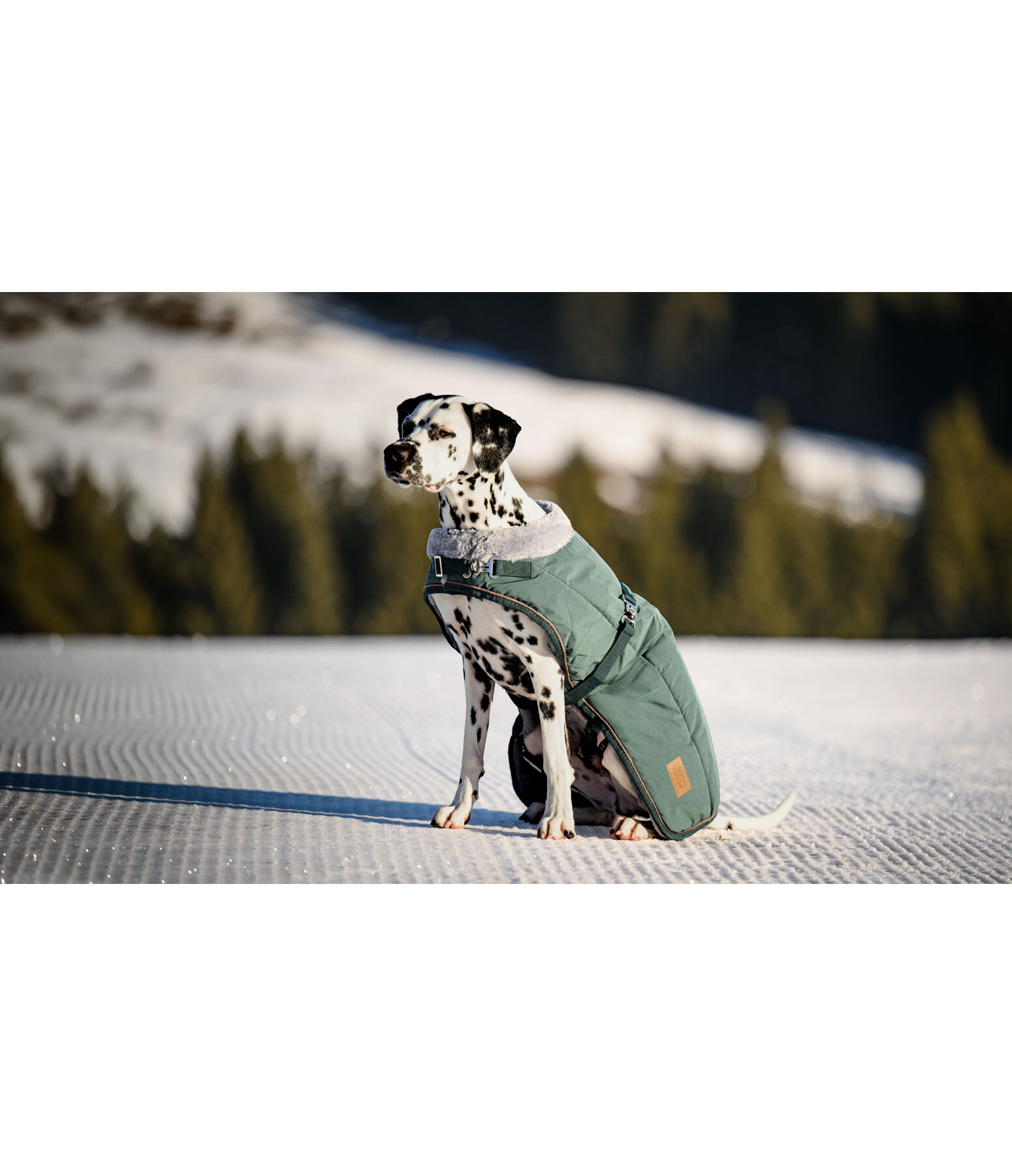 Winter Dog Coat Gizmo with Faux Fur Lining, 200g