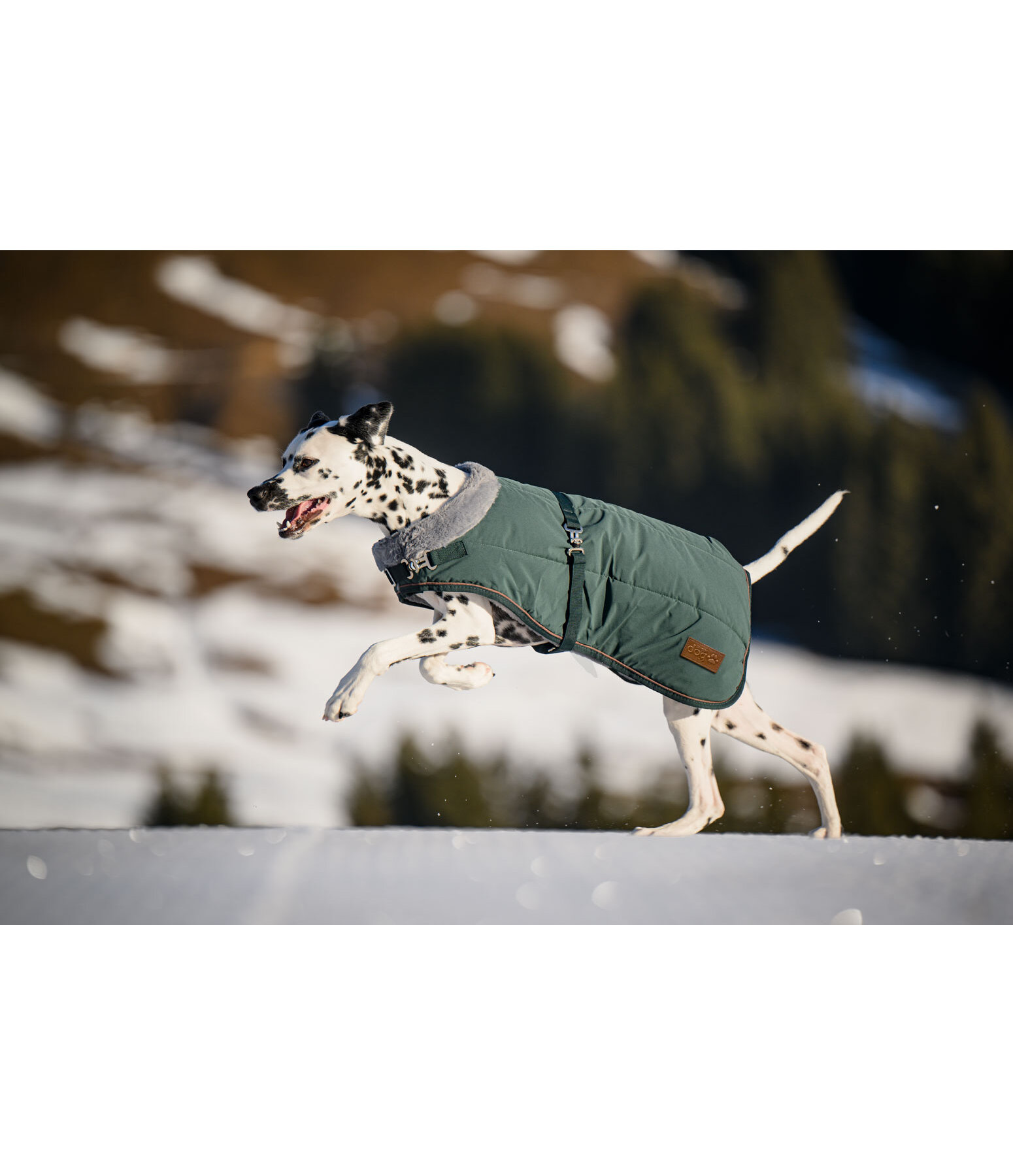Winter Dog Coat Gizmo with Faux Fur Lining, 200g