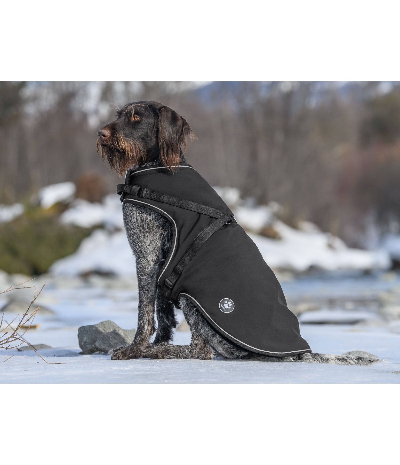 Soft shell dog coat deals