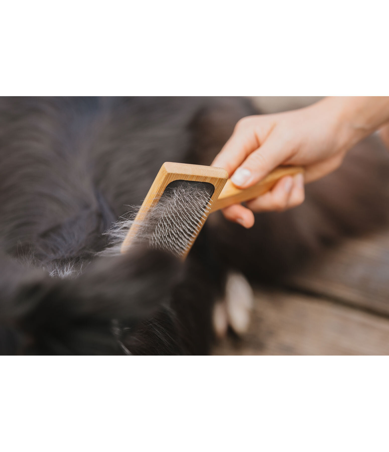 Dog Grooming Brush Woody