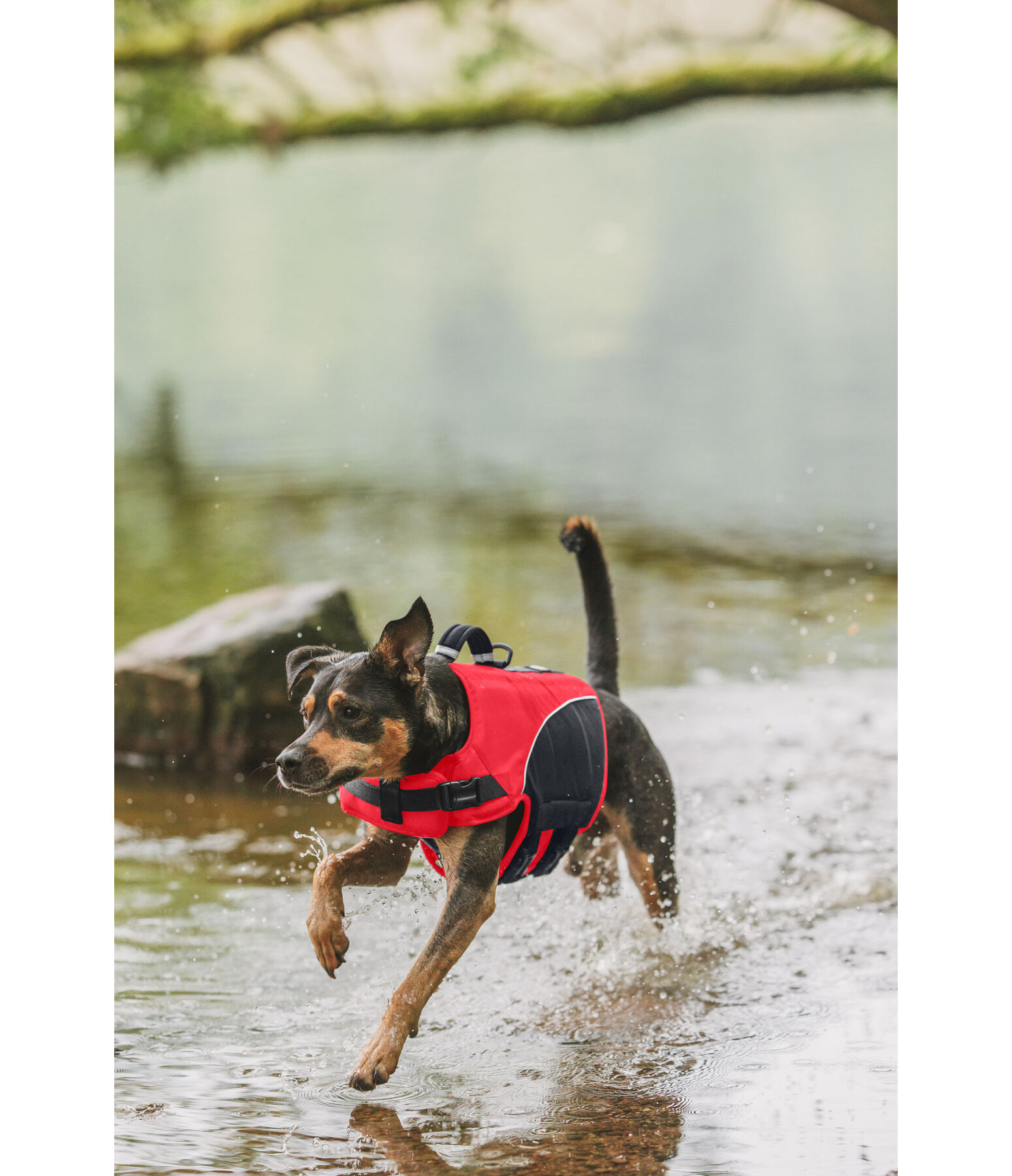 Dog Life Jacket Life Guard