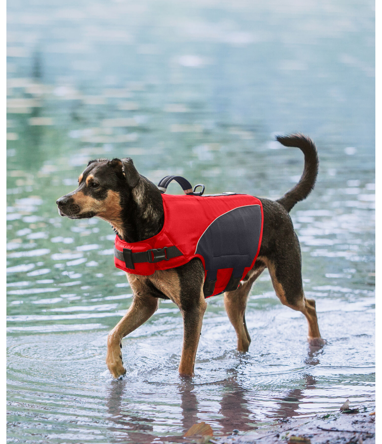 Dog Life Jacket Life Guard