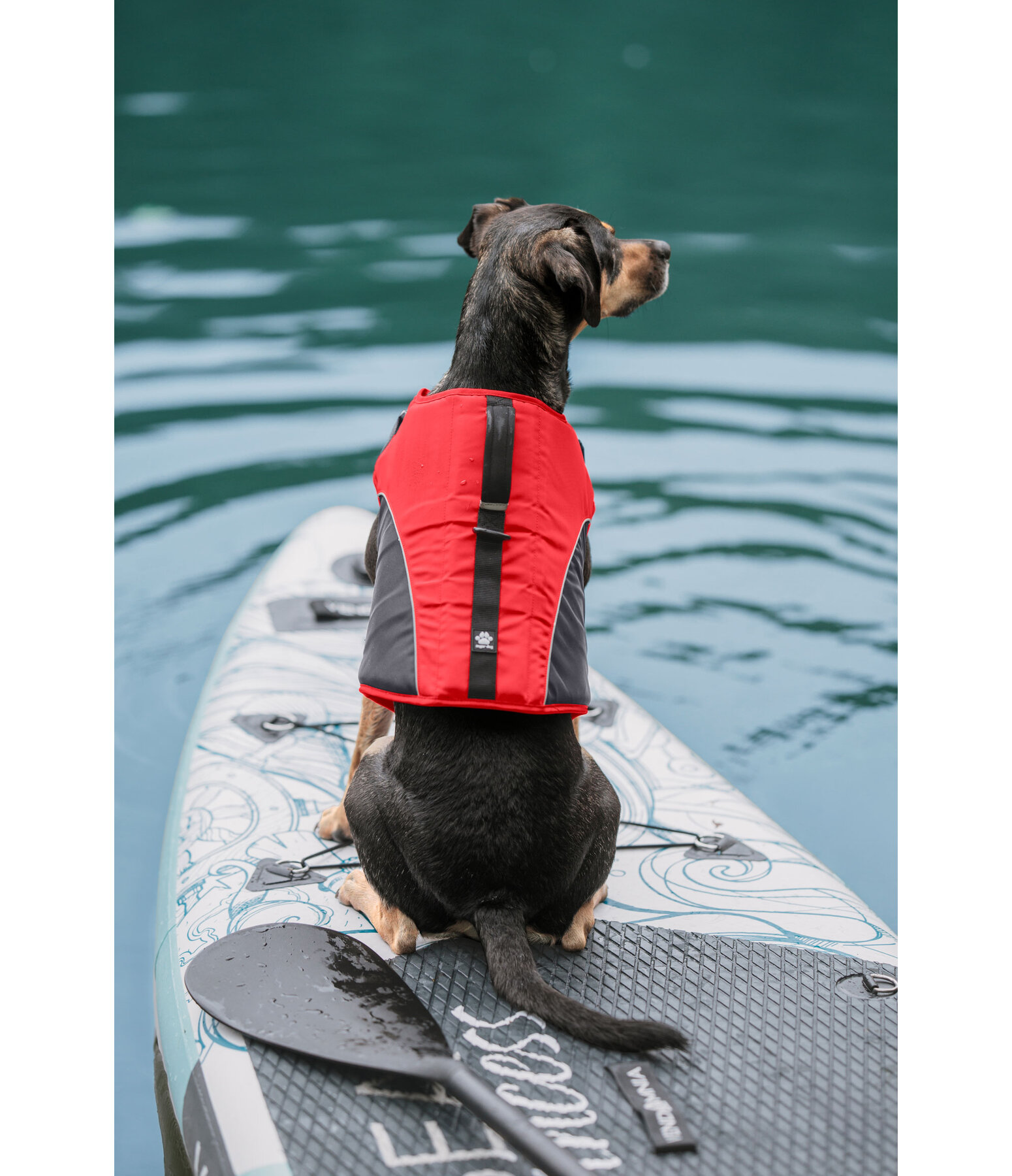 Dog Life Jacket Life Guard