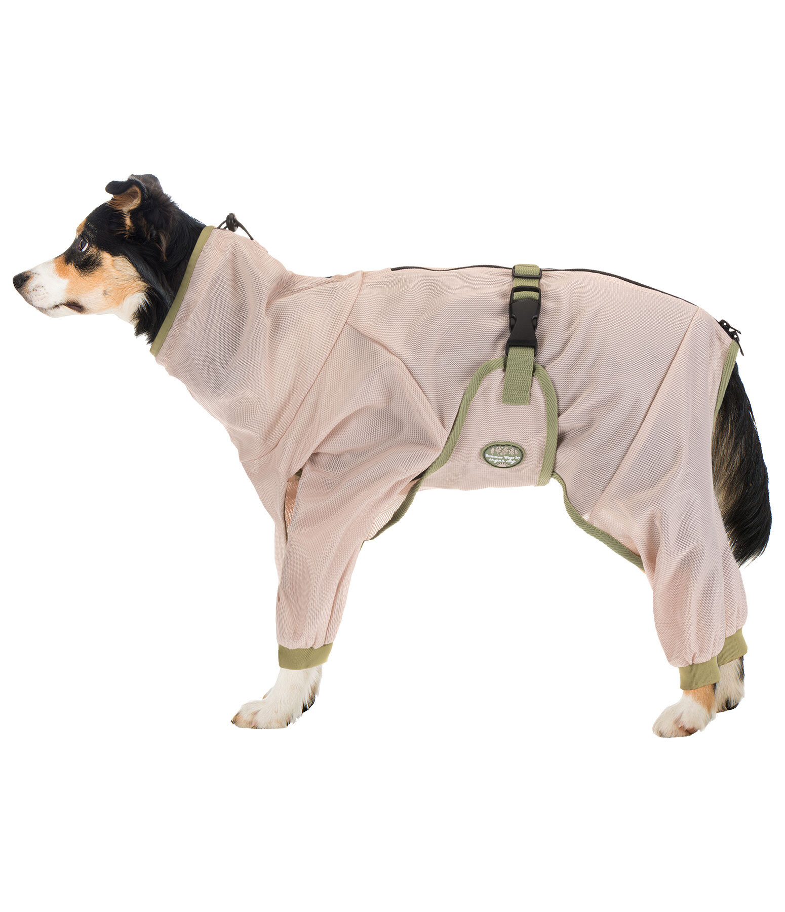 Eczema Dog Coat Tropics