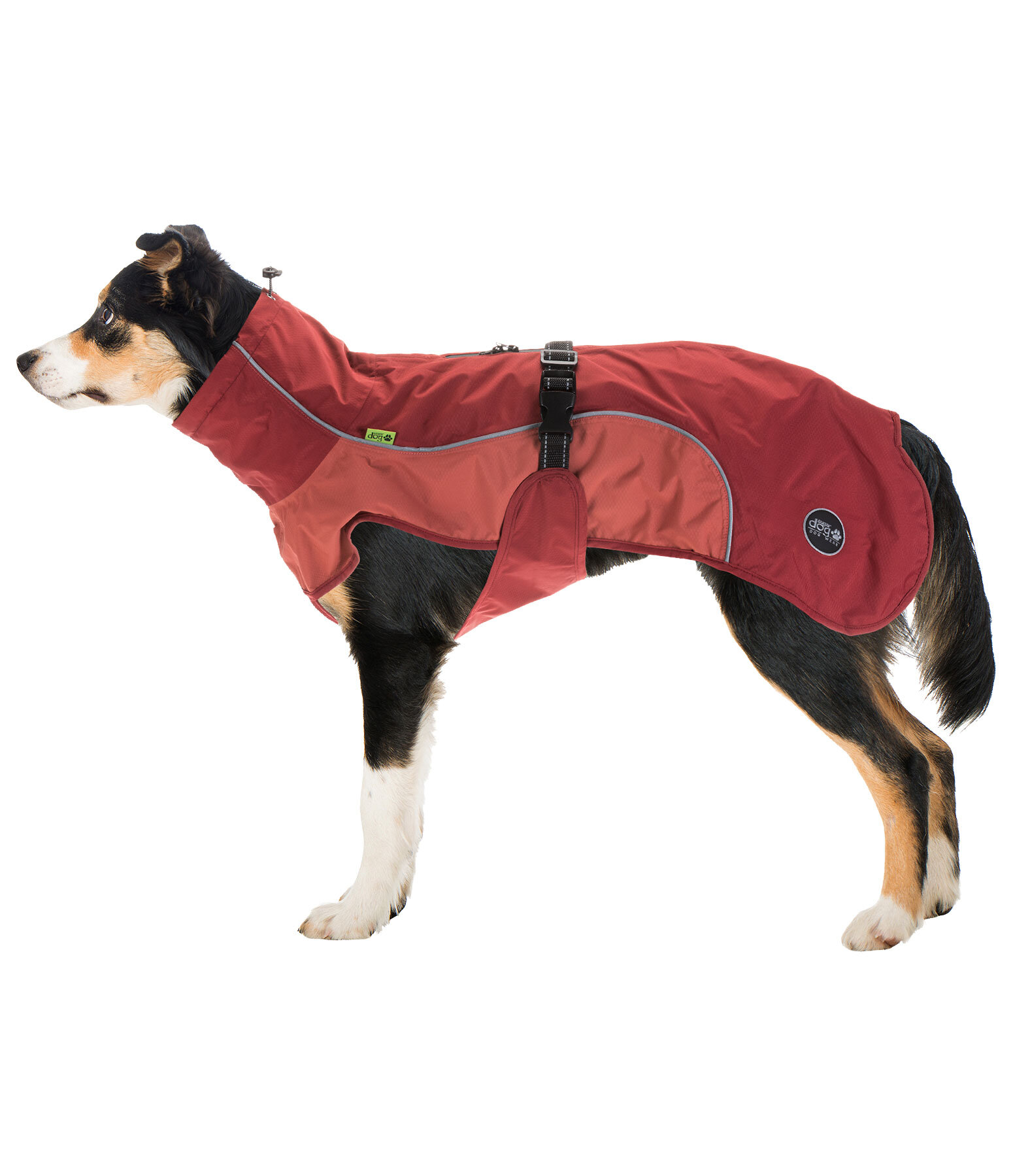 Lightweight Dog Raincoat Alma, 0g