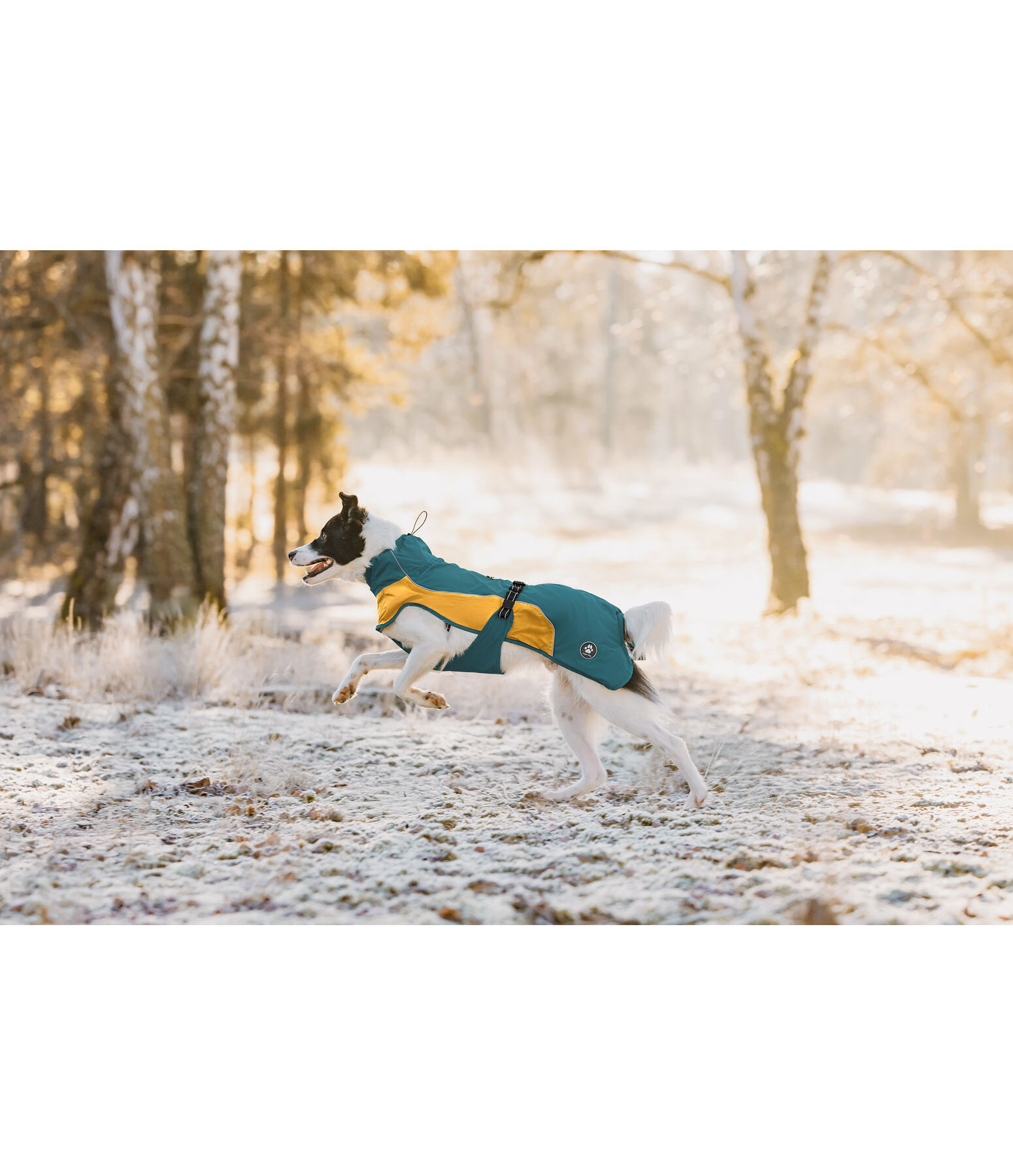 Lightweight Dog Raincoat Alma, 0g
