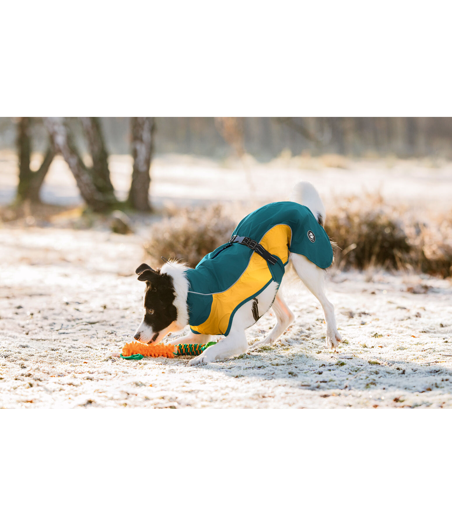 Lightweight Dog Raincoat Alma, 0g