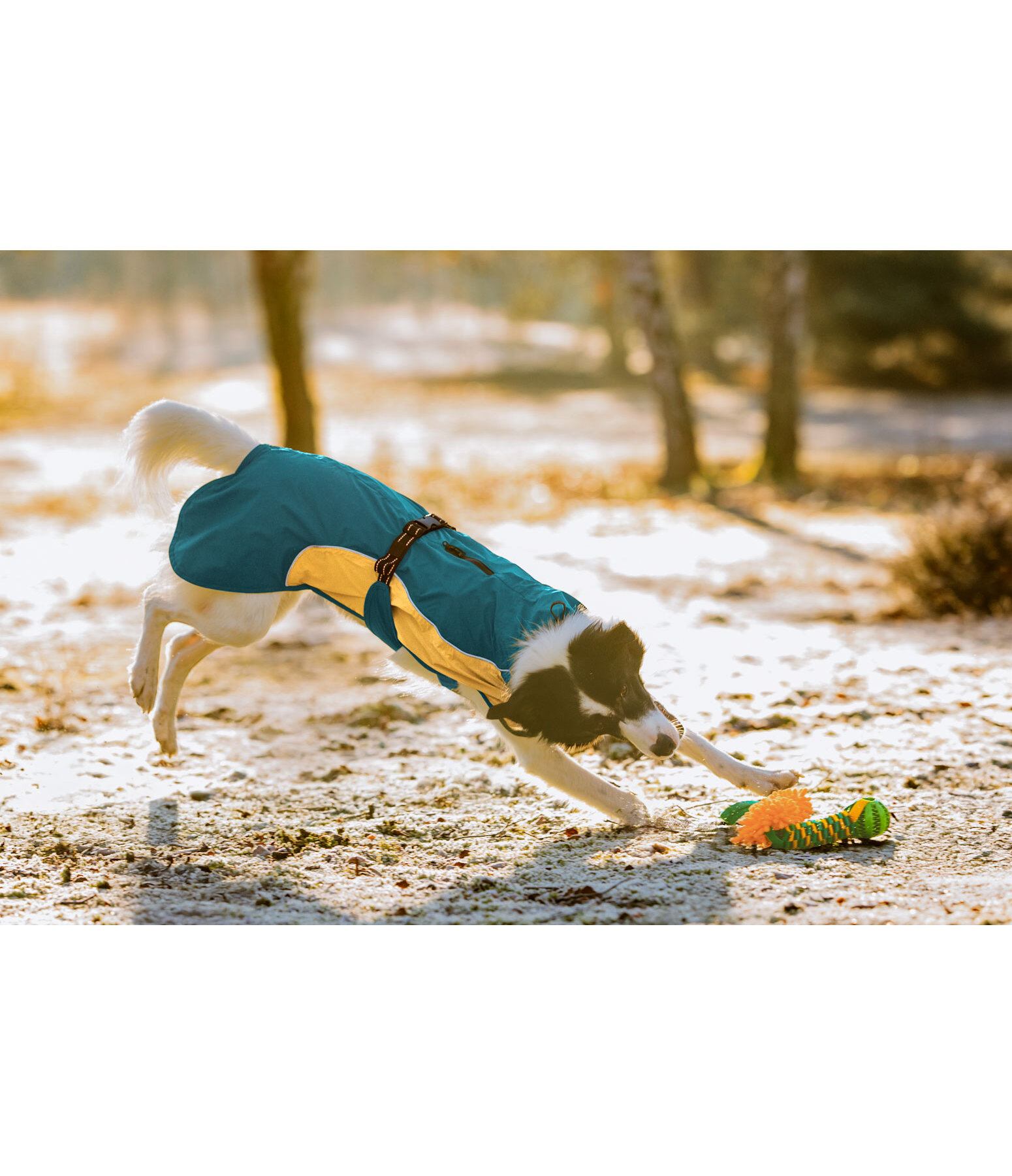 Lightweight Dog Raincoat Alma, 0g