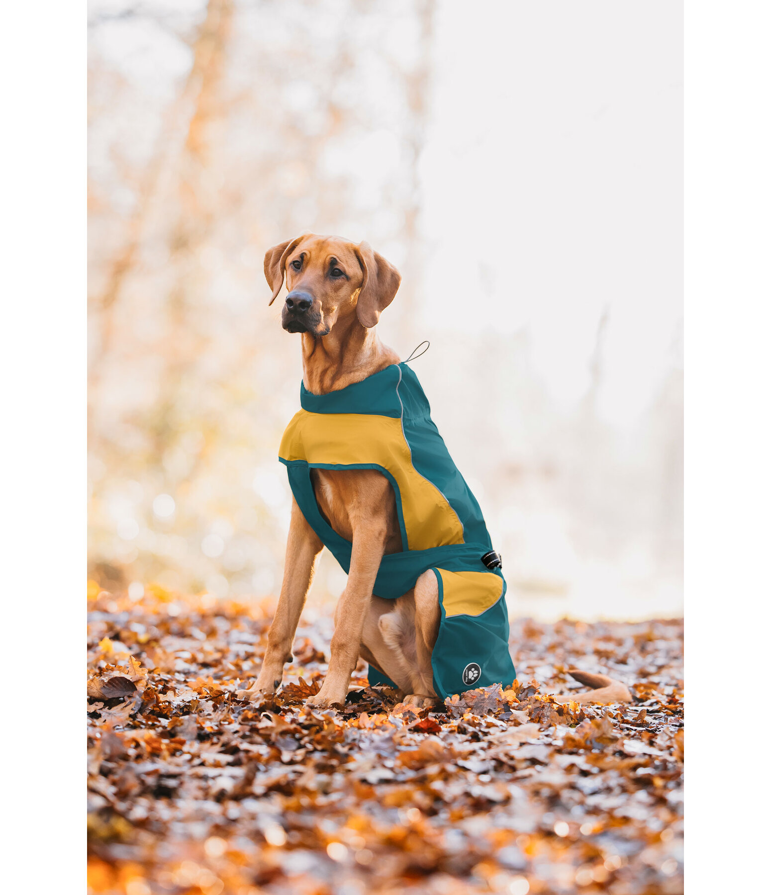 Lightweight Dog Raincoat Alma, 0g
