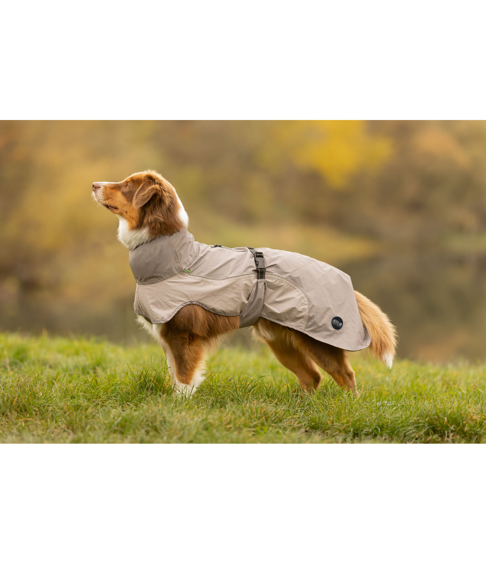 Lightweight Dog Raincoat Alma, 0g