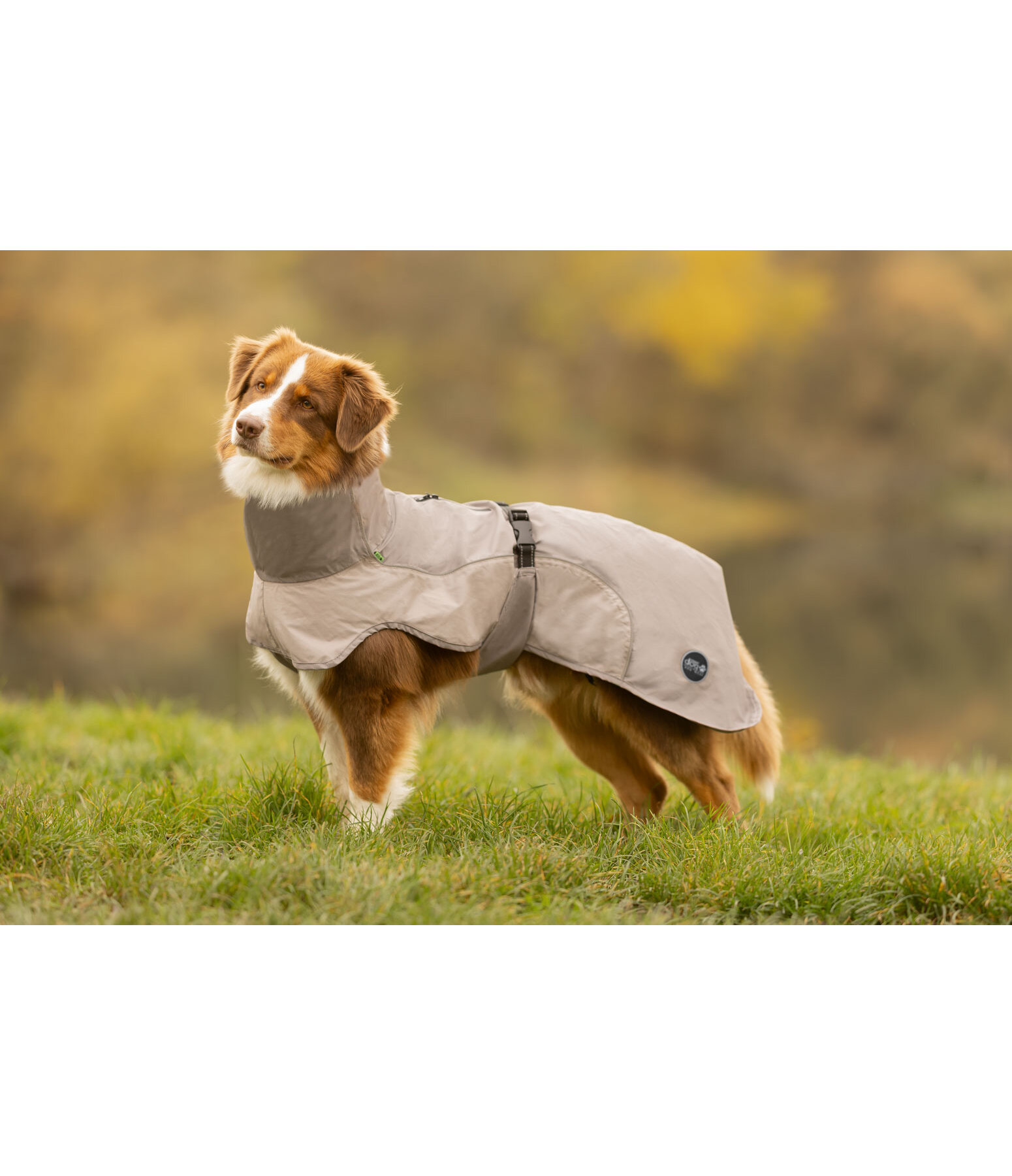 Lightweight Dog Raincoat Alma, 0g