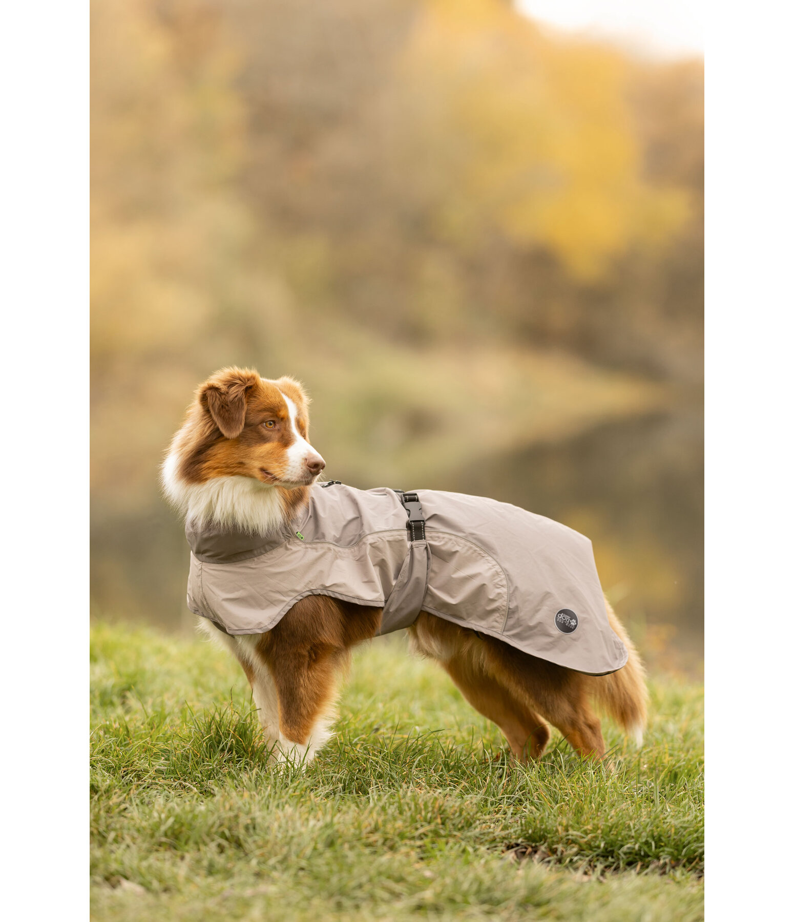 Lightweight Dog Raincoat Alma, 0g