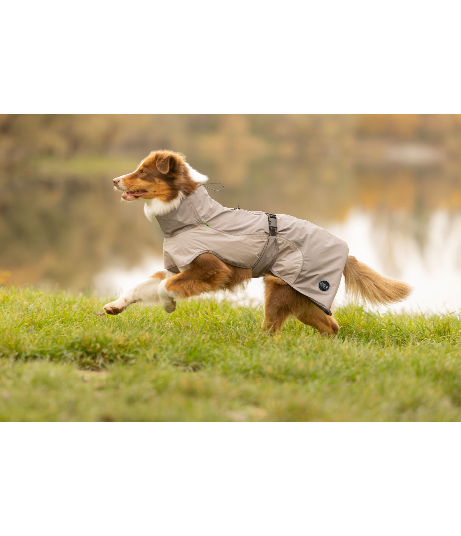 Lightweight Dog Raincoat Alma, 0g