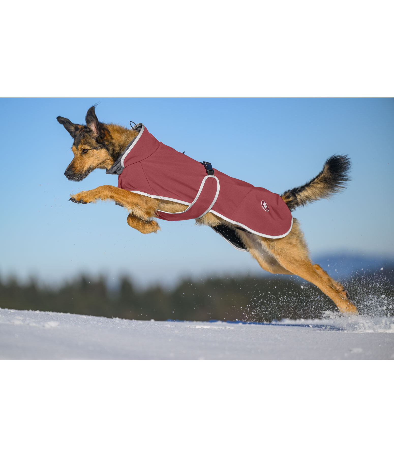 Softshell Coat with Fleece Collar Frida