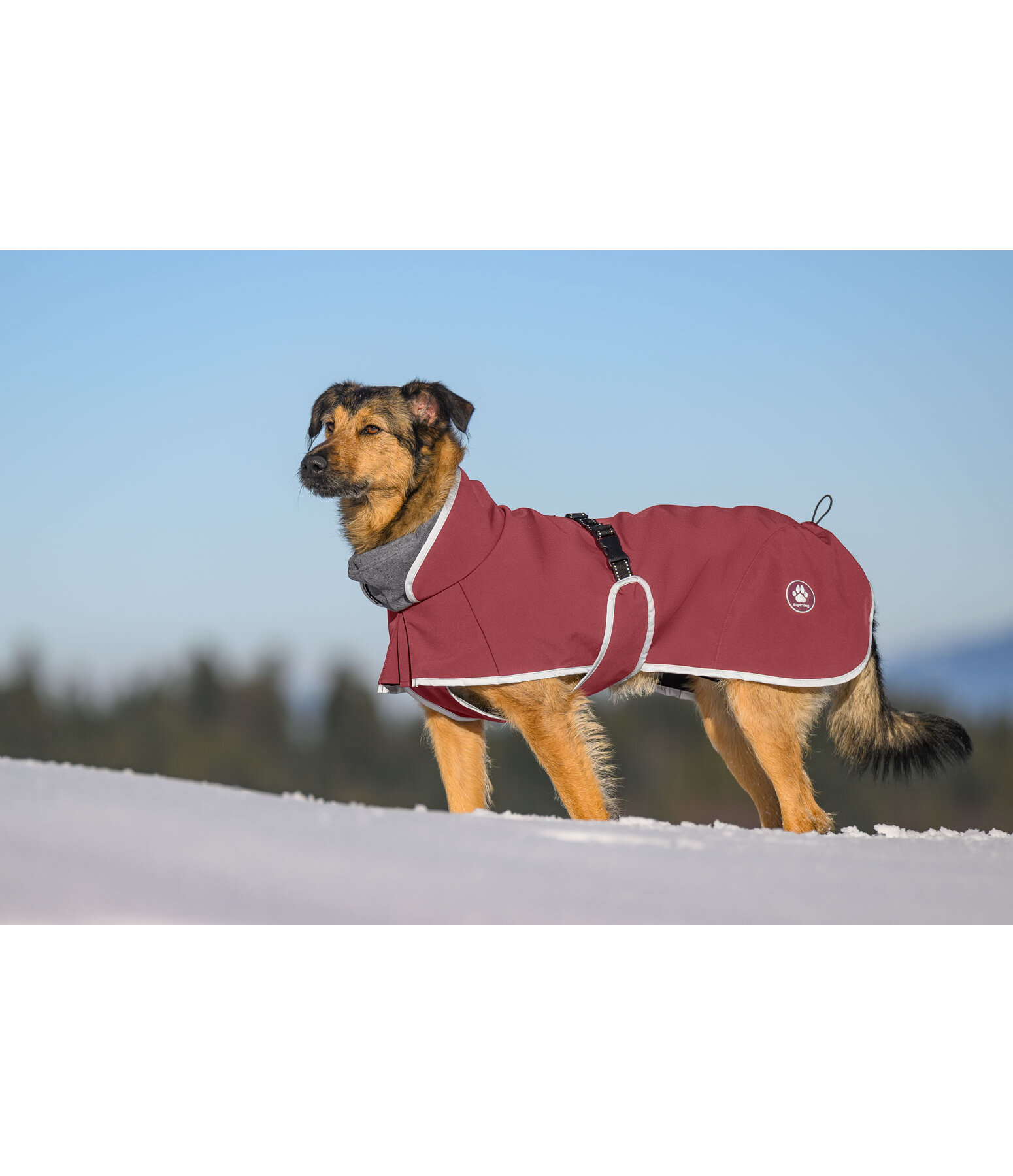 Softshell Coat with Fleece Collar Frida