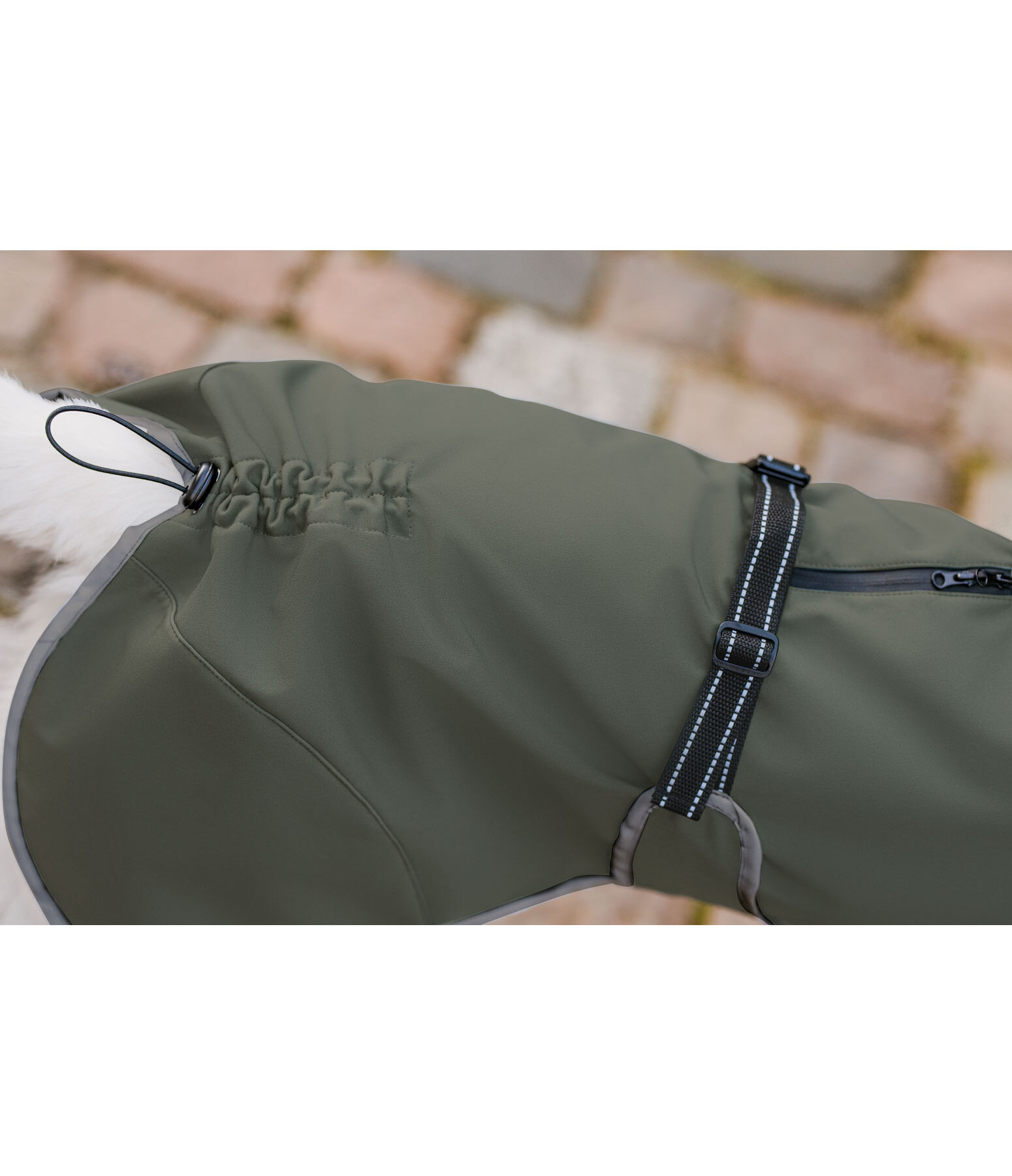 Softshell Coat with Fleece Collar Frida