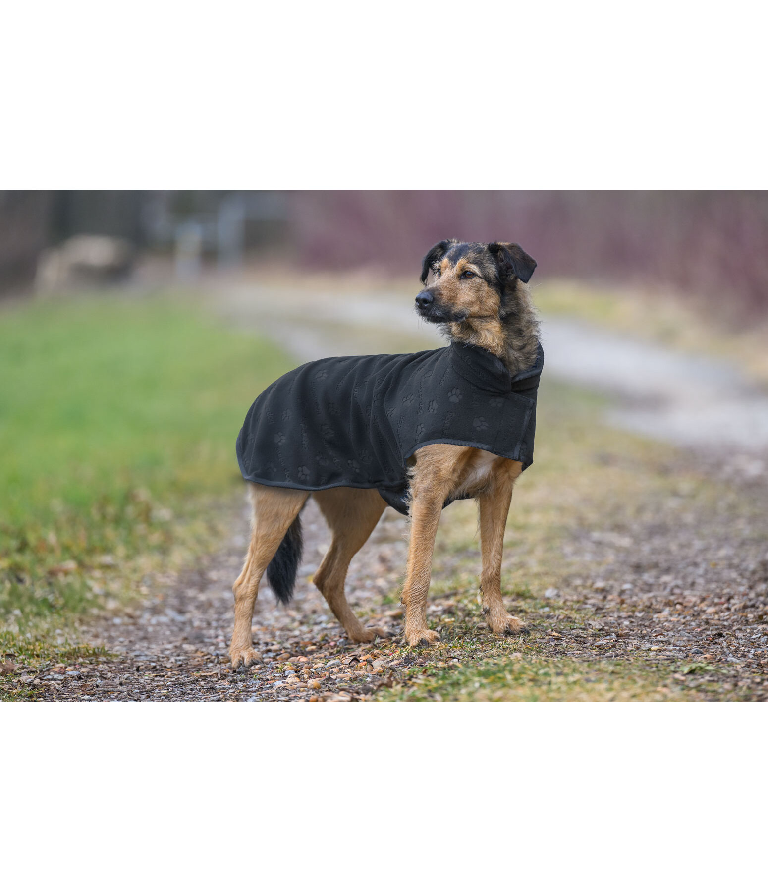 Liner and Fleece Coat Lino
