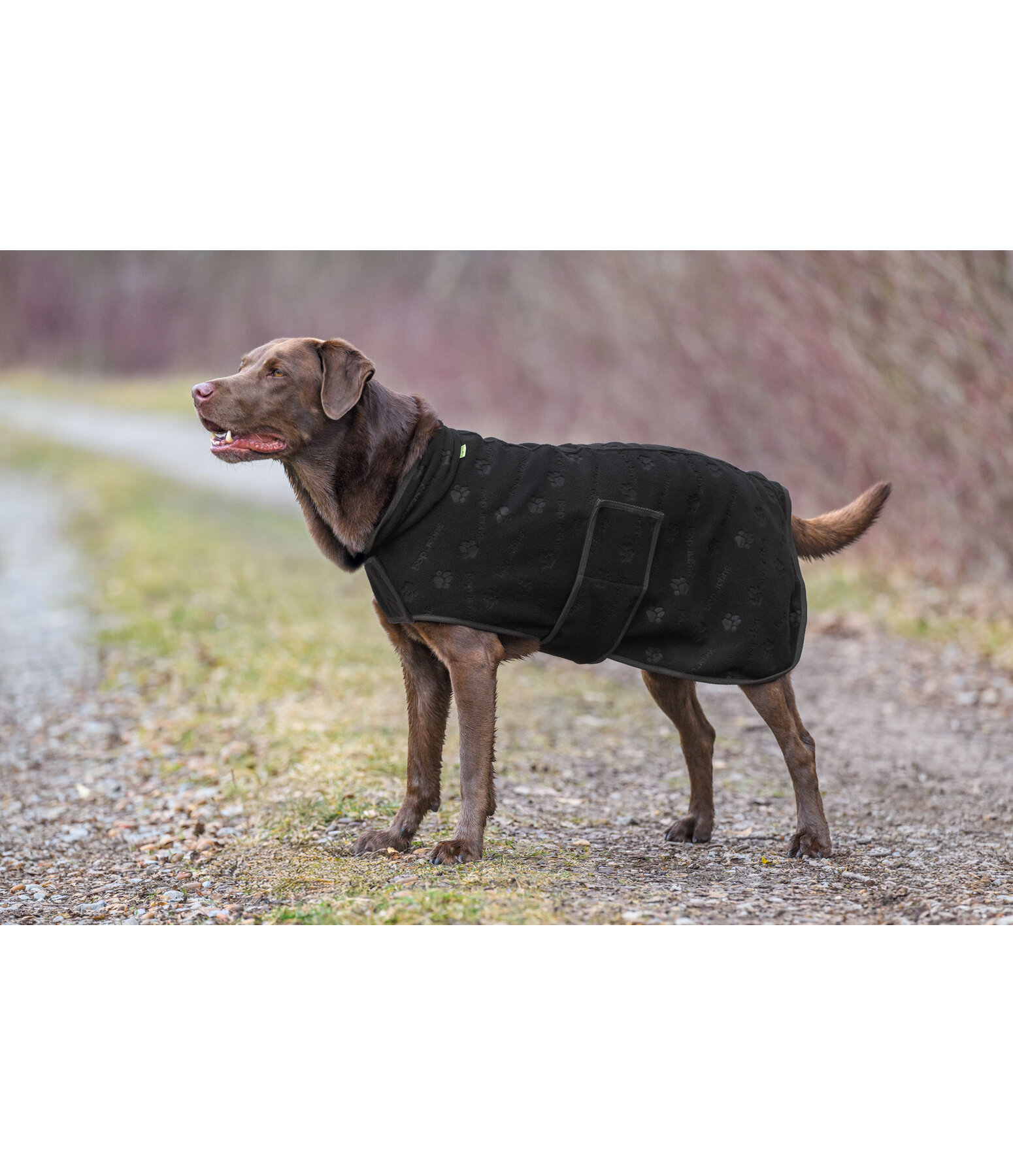 Liner and Fleece Coat Lino