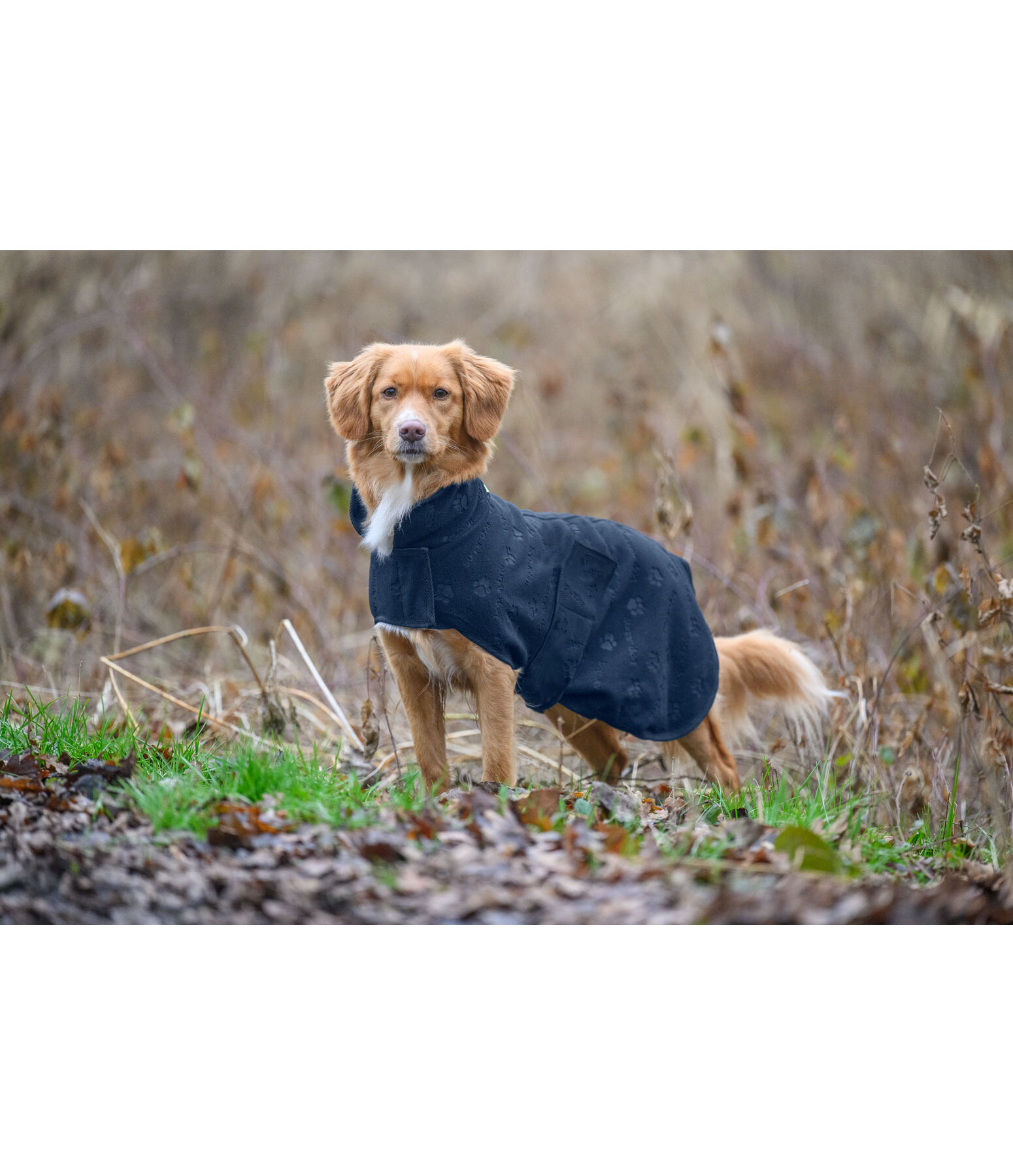 Liner and Fleece Coat Lino
