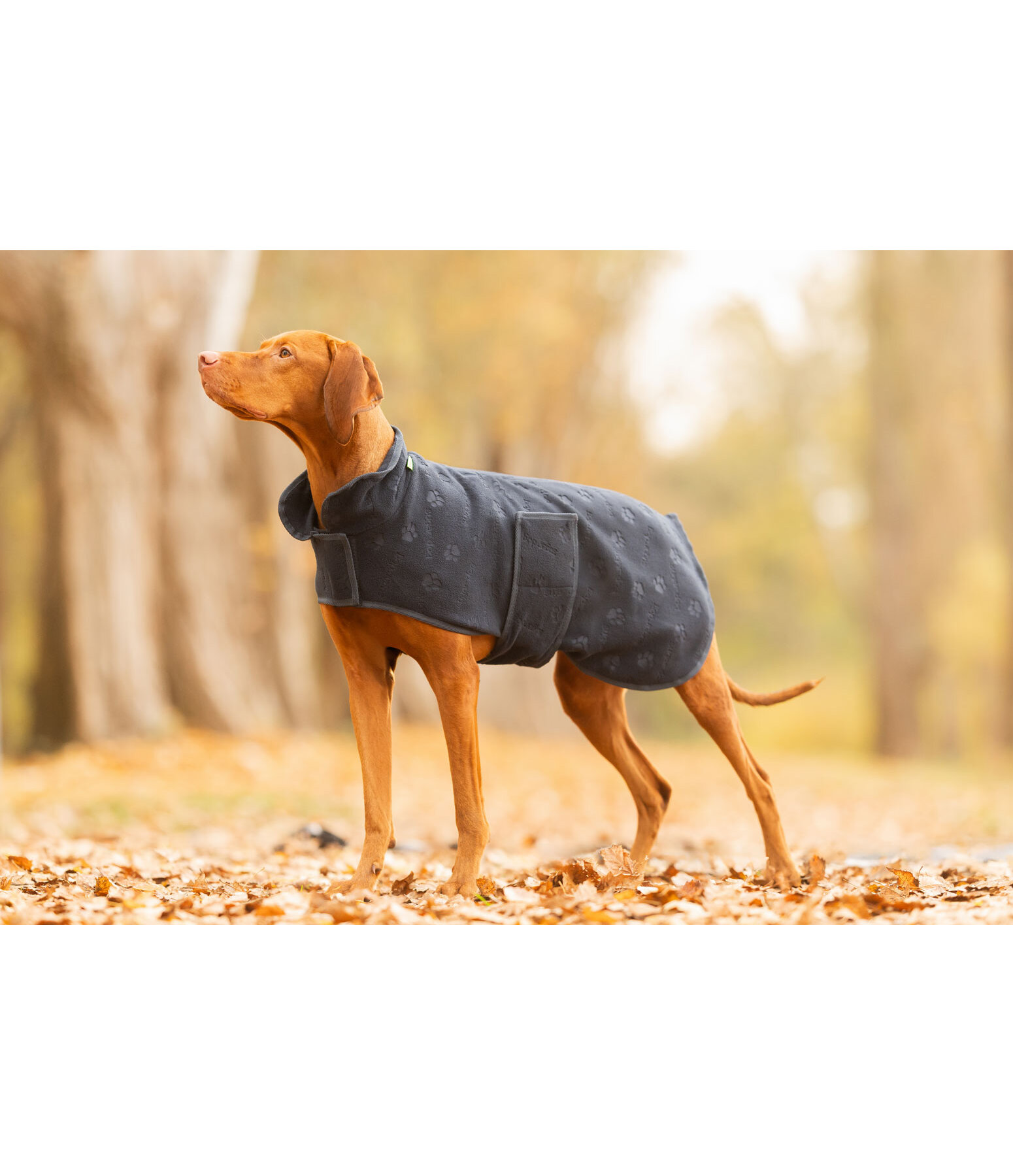 Liner and Fleece Coat Lino