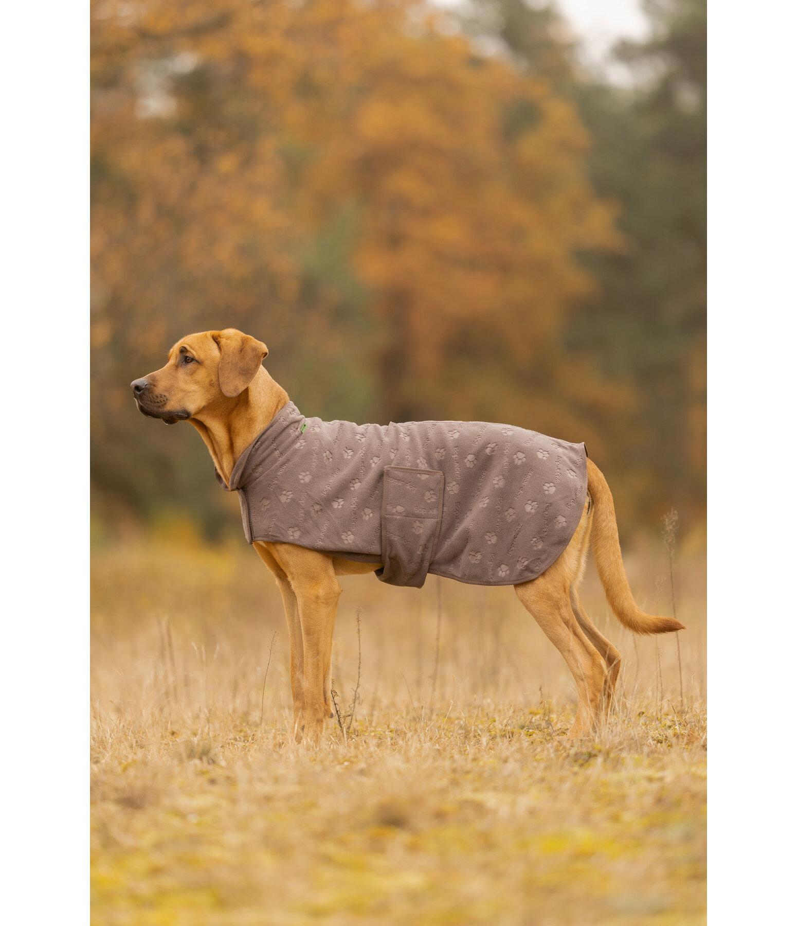Liner and Fleece Coat Lino