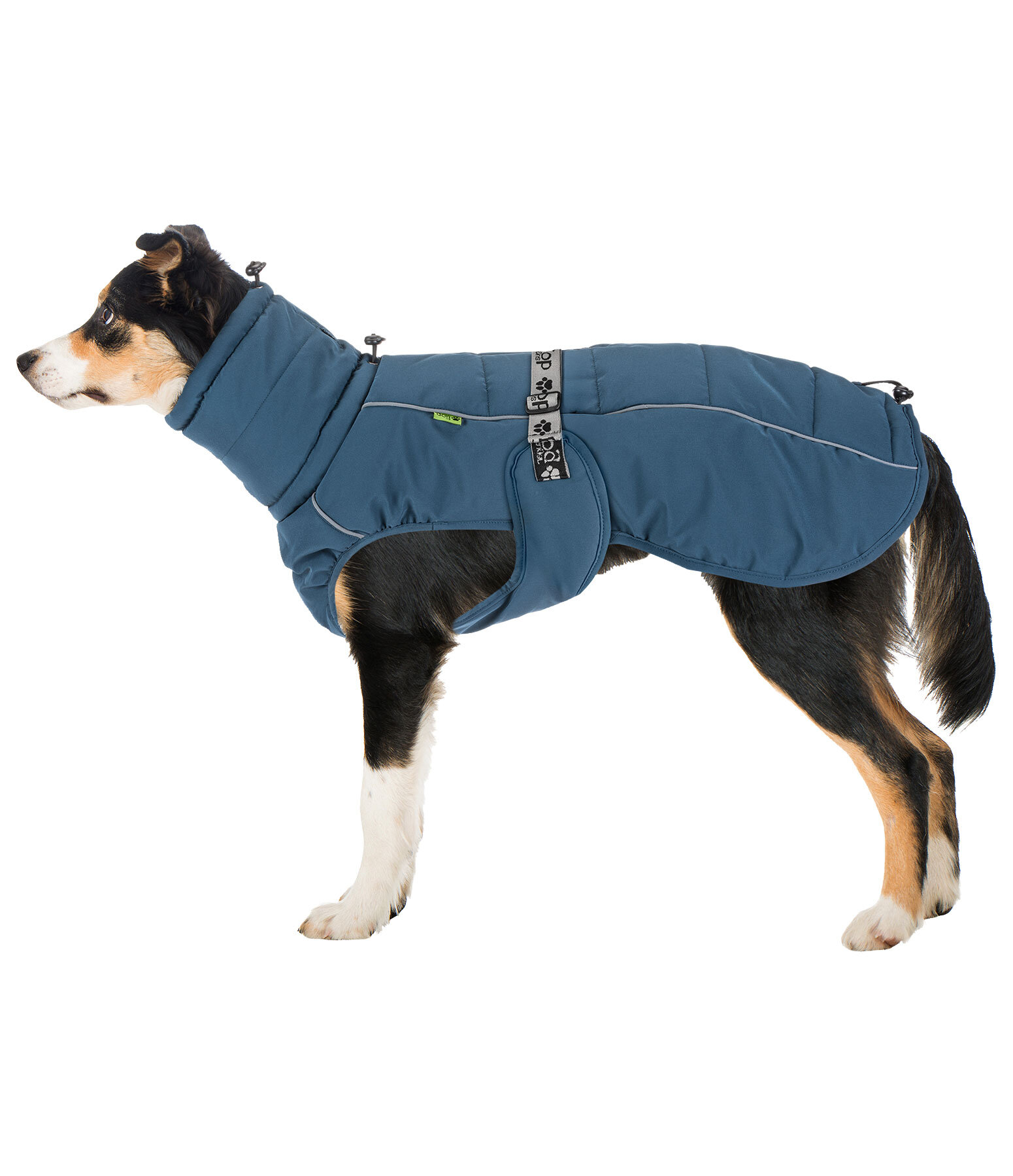 Winter Dog Coat Marlon, 200-300g