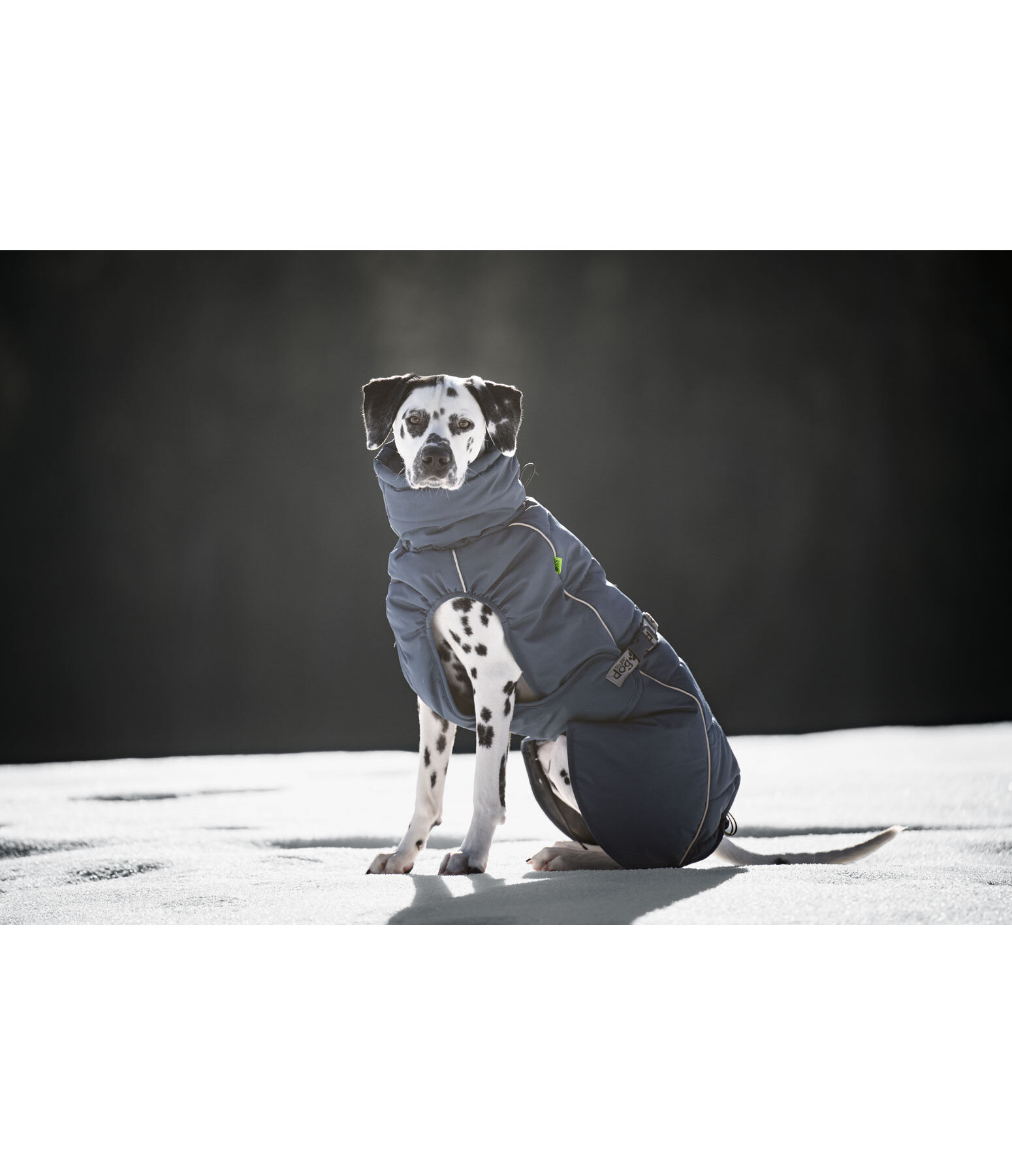 Winter Dog Coat Marlon, 200-300g