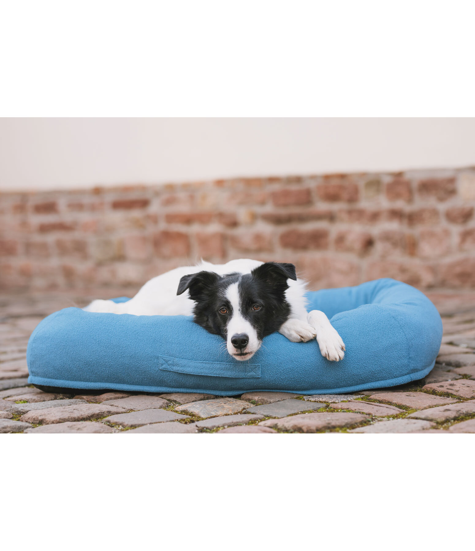 Dog Bed Terry
