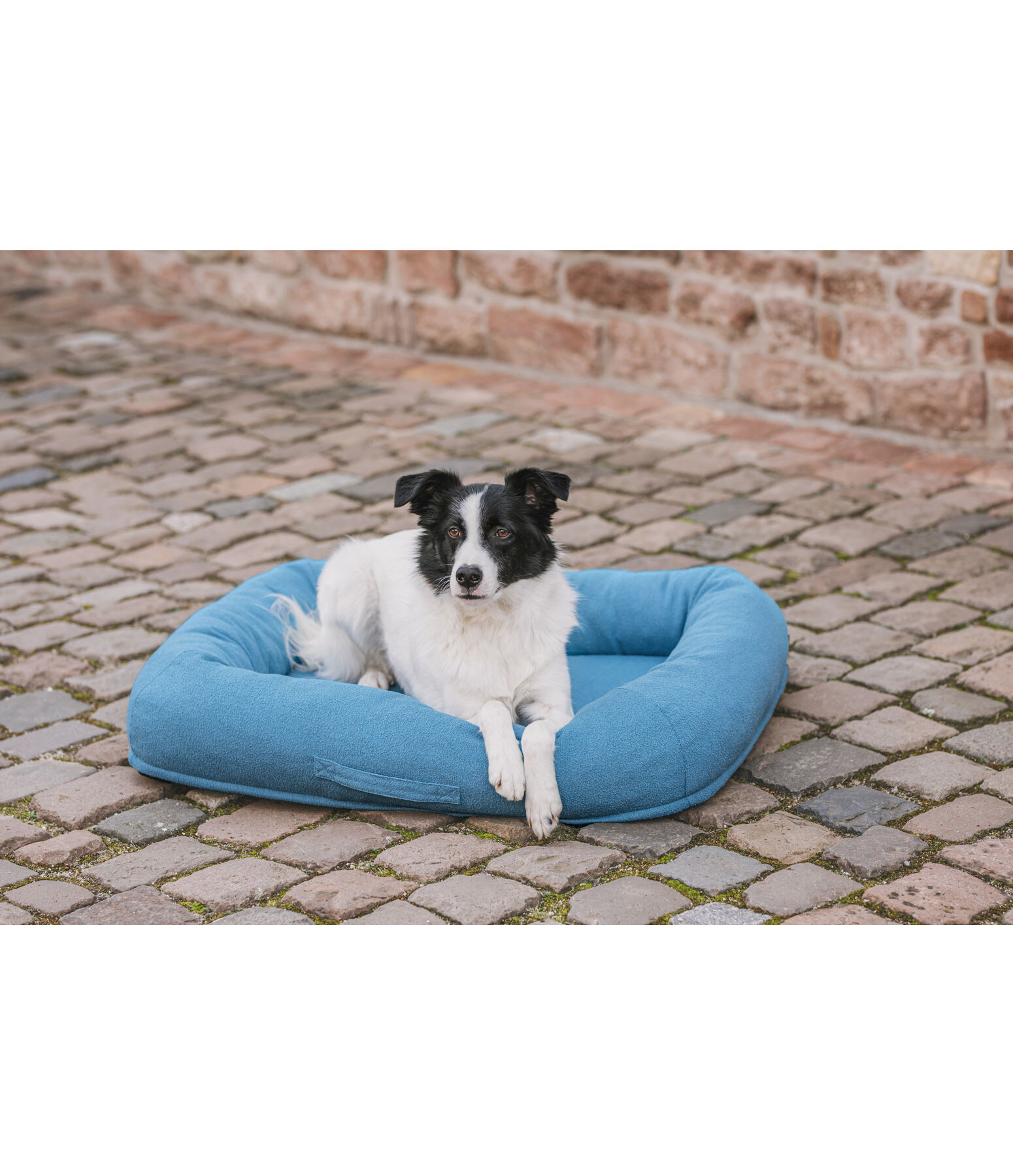 Dog Bed Terry