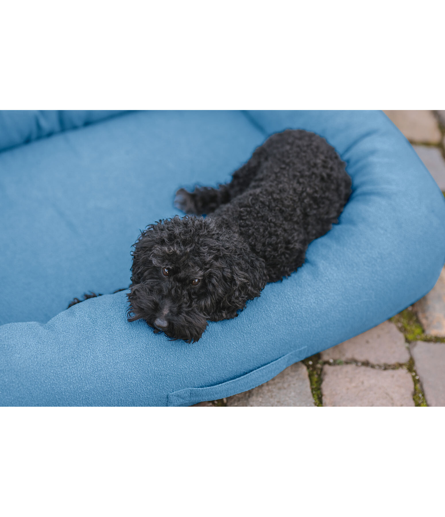 Dog Bed Terry
