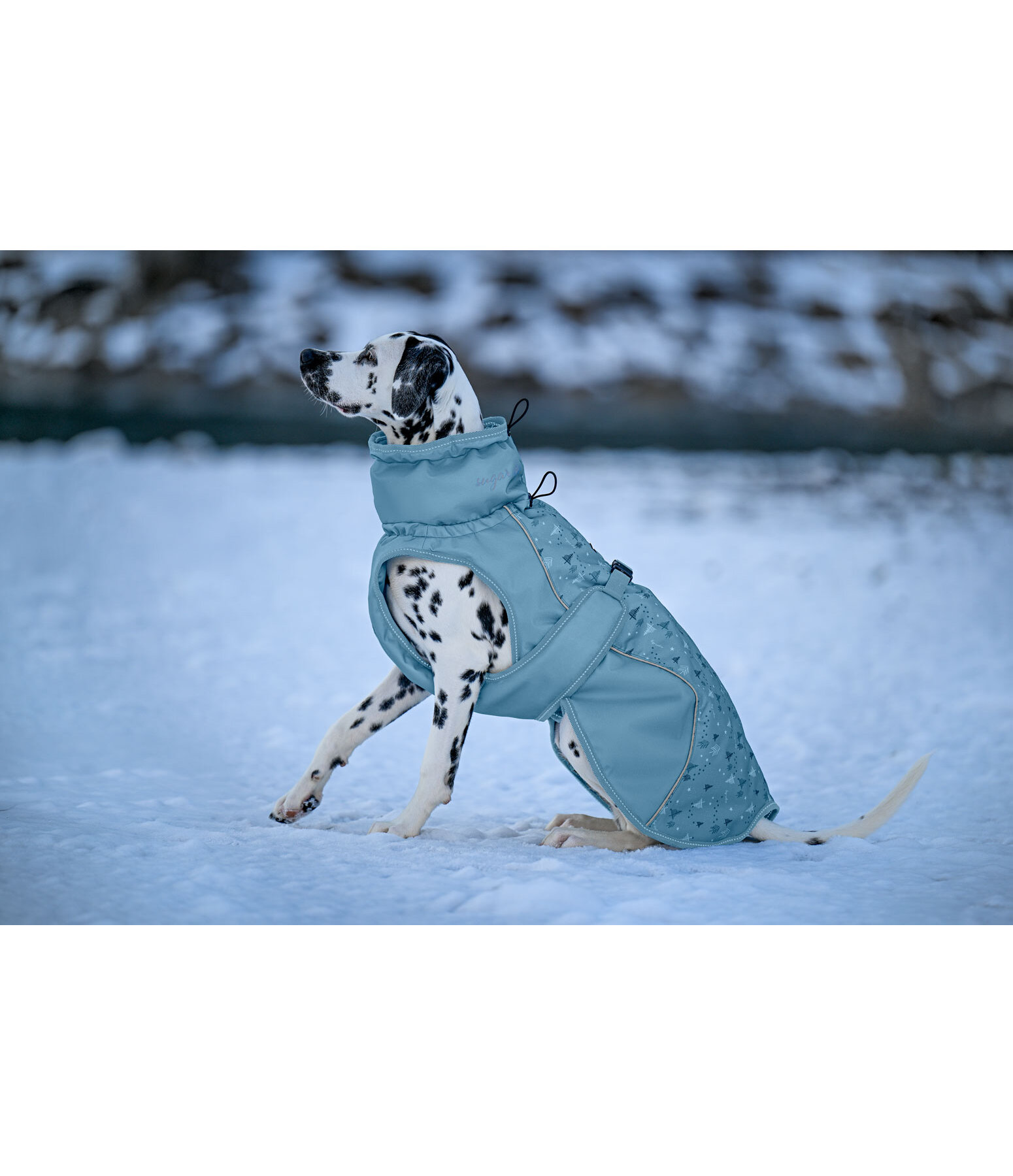 Winter Dog Coat Wonderland, 140g