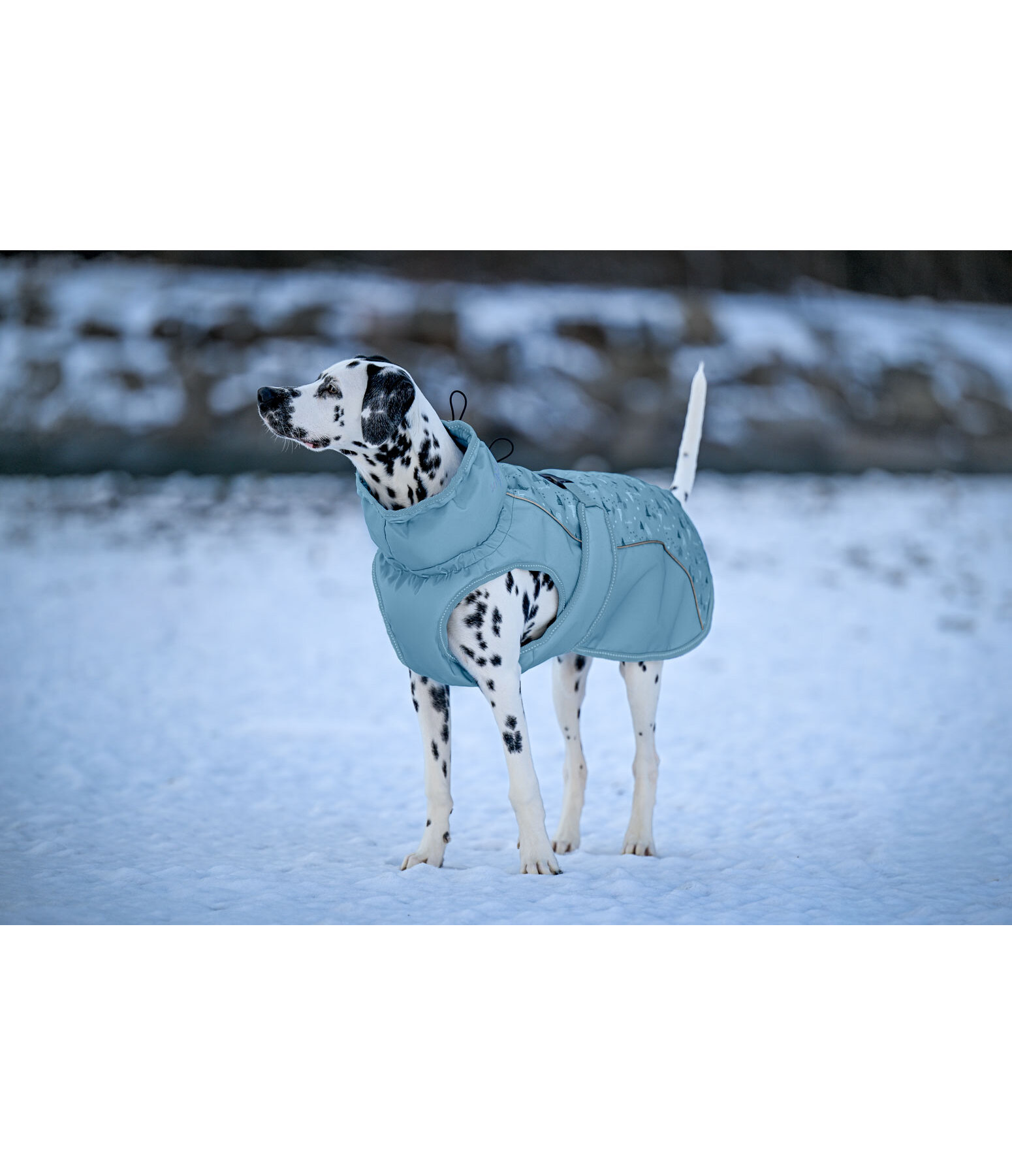 Winter Dog Coat Wonderland, 140g