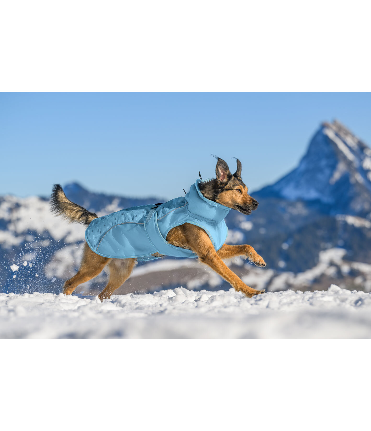 Winter Dog Coat Wonderland, 140g