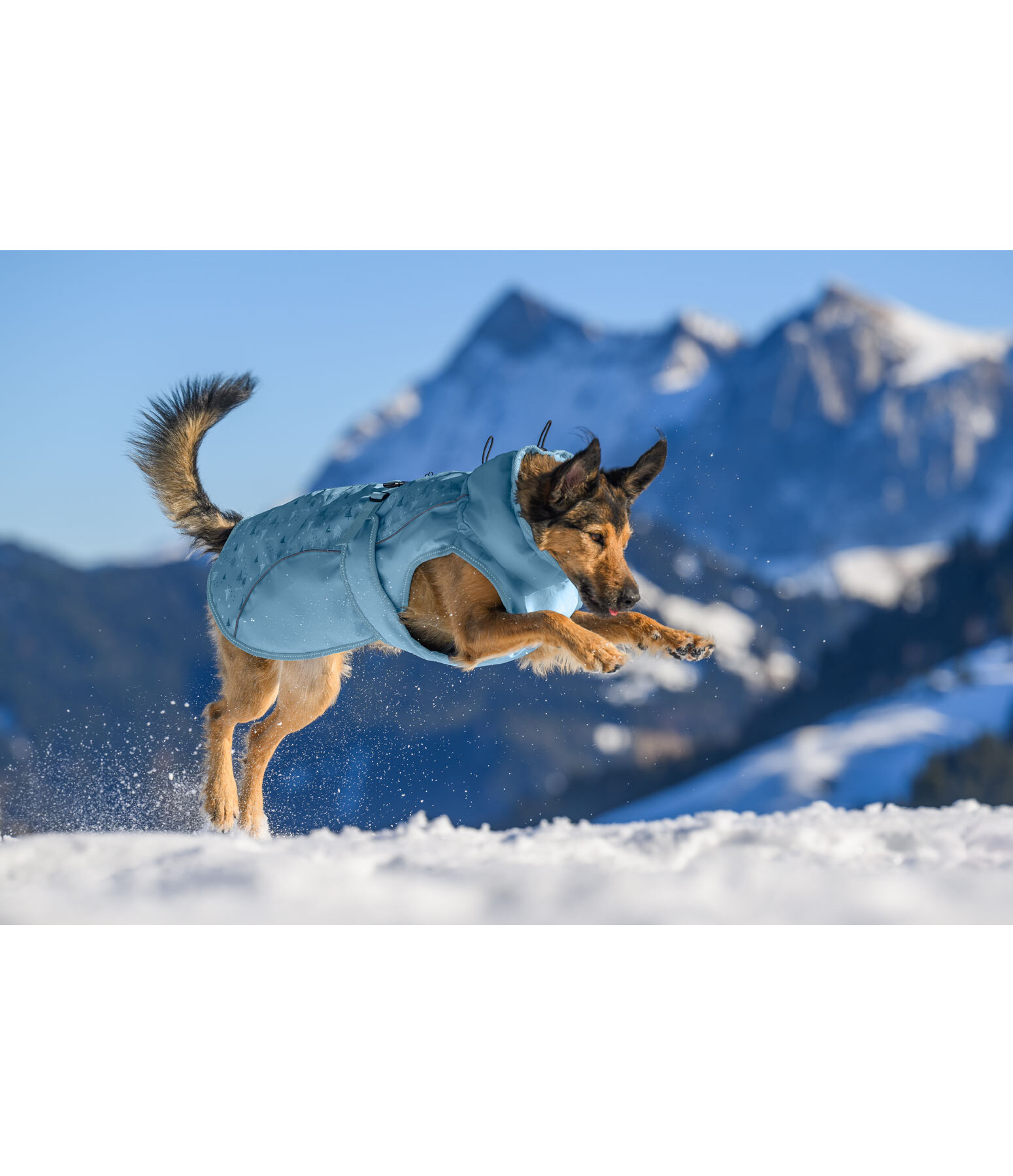 Winter Dog Coat Wonderland, 140g