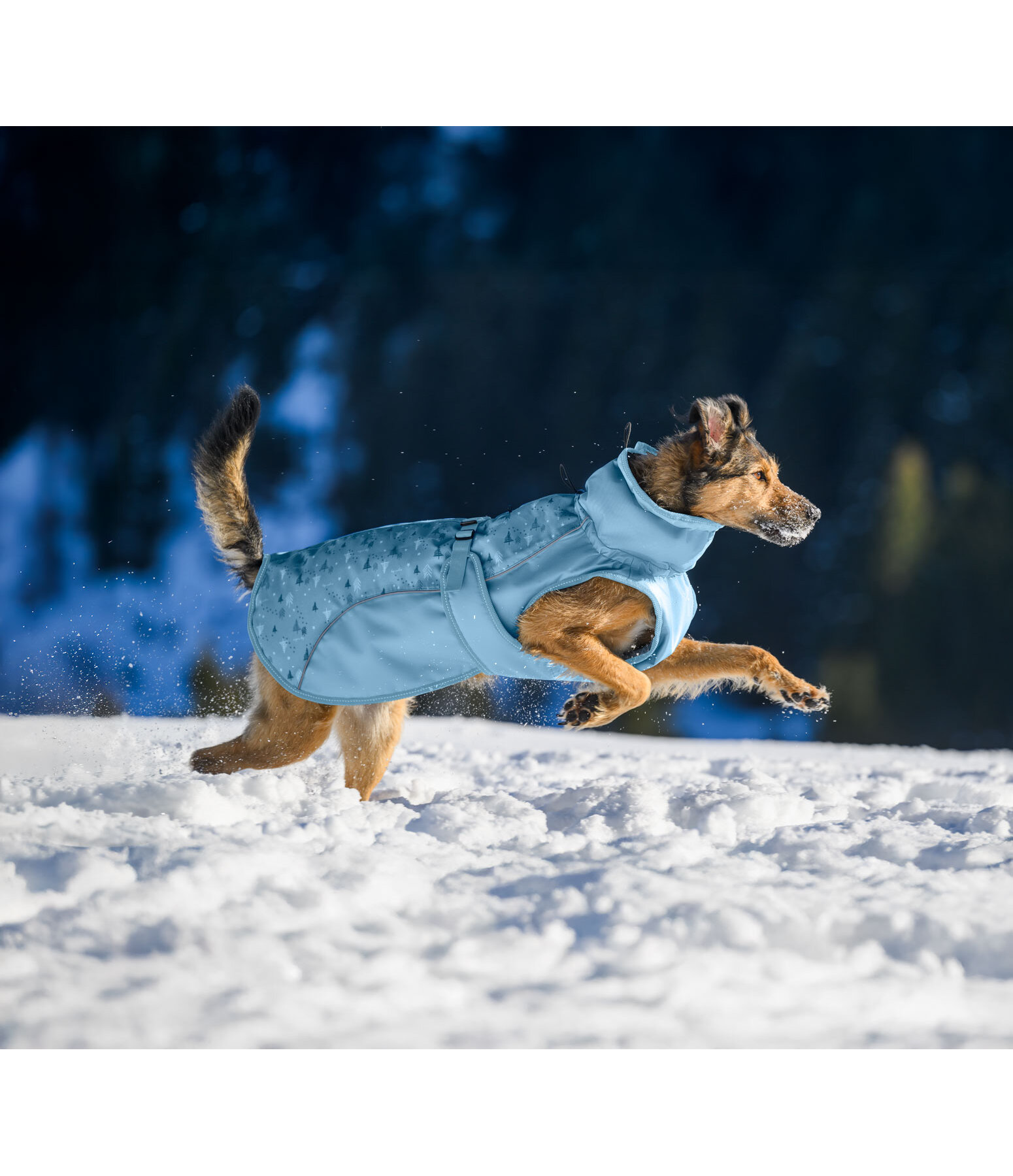 Winter Dog Coat Wonderland, 140g