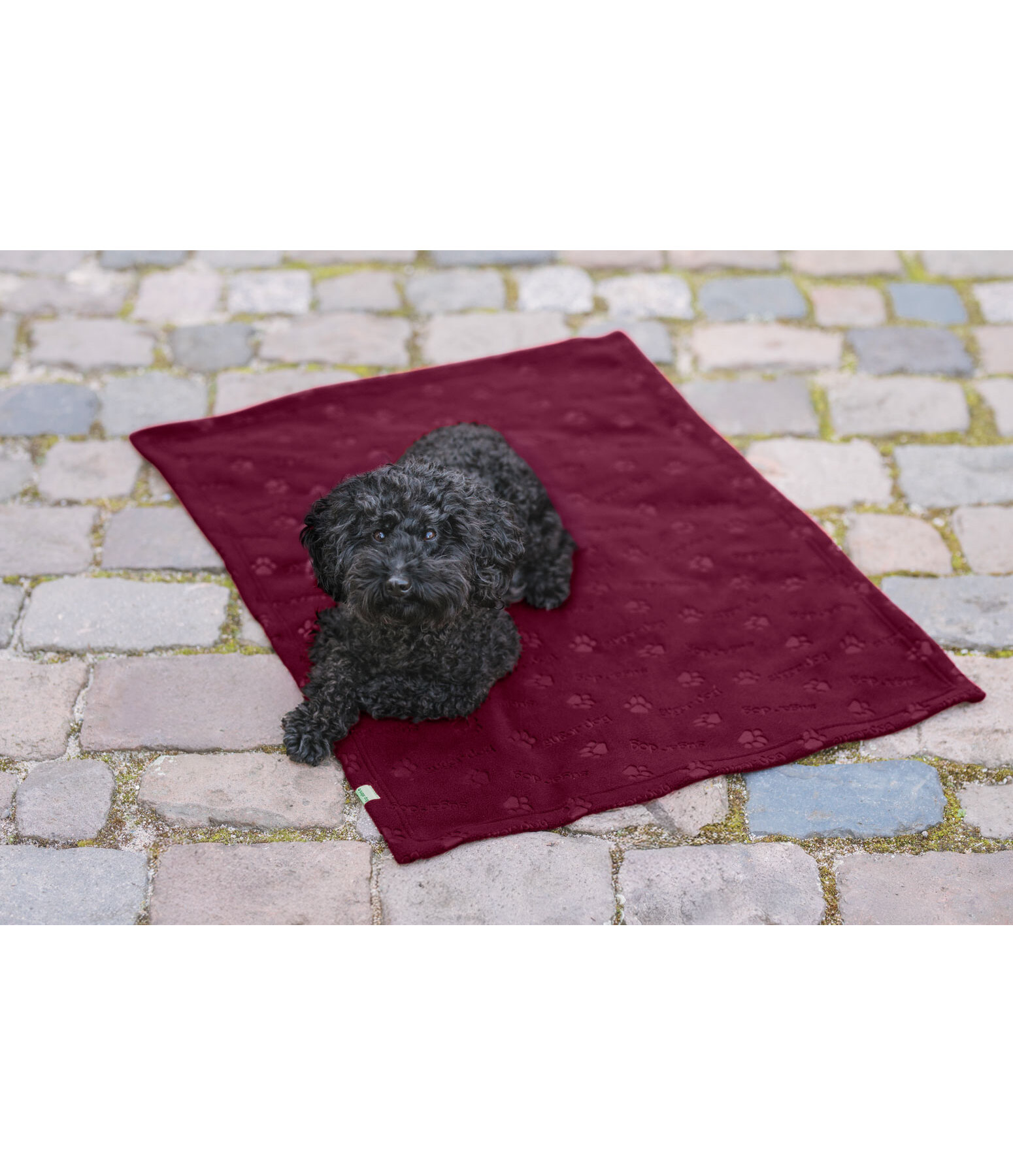 Fleece Blanket Charly