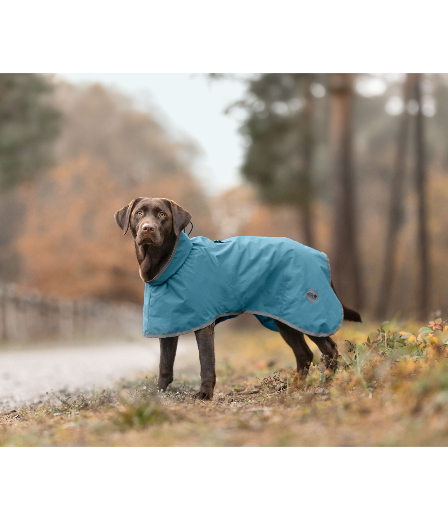 Dog Raincoat Winter Islands, 160g