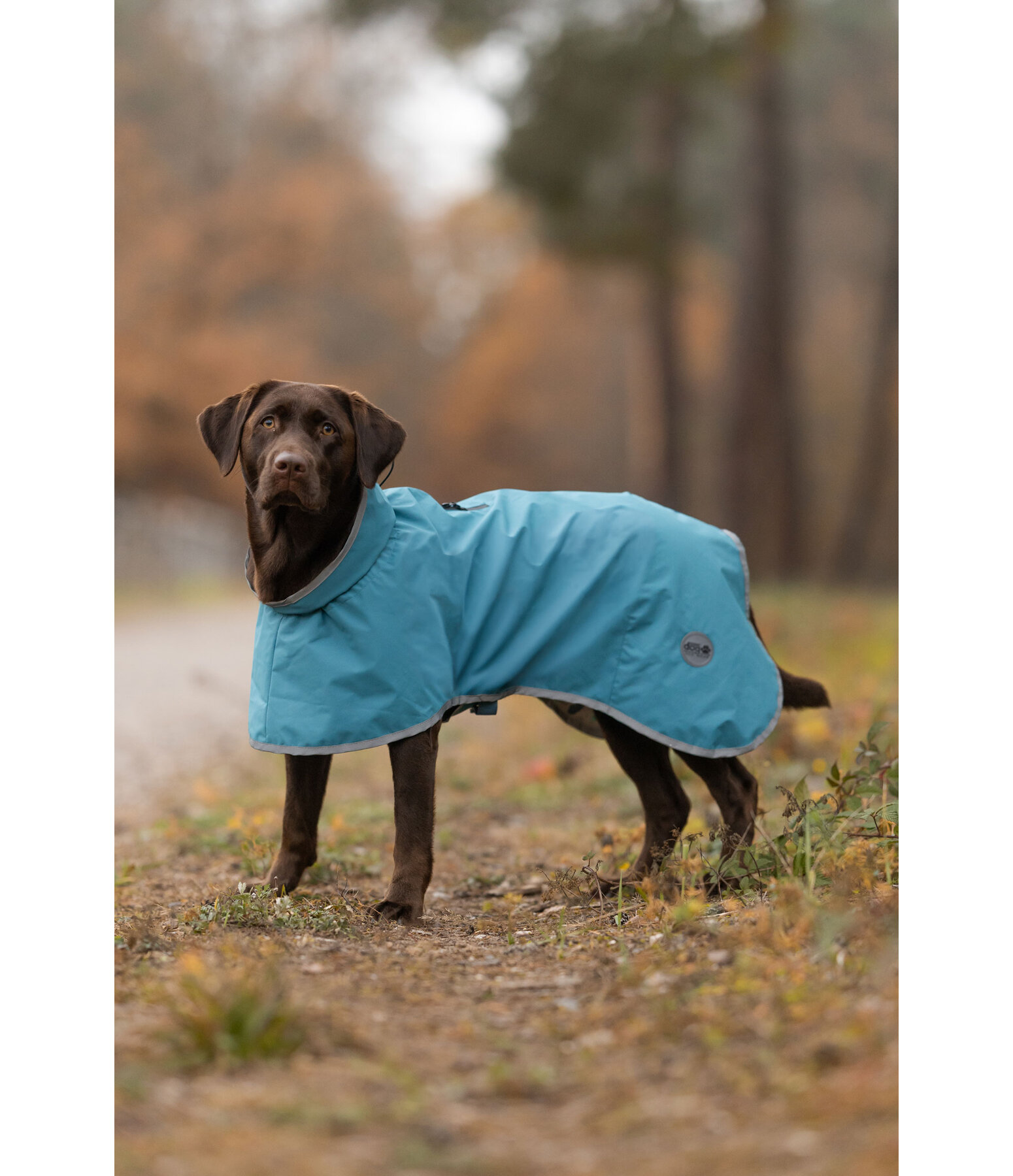 Dog Raincoat Winter Islands, 160g