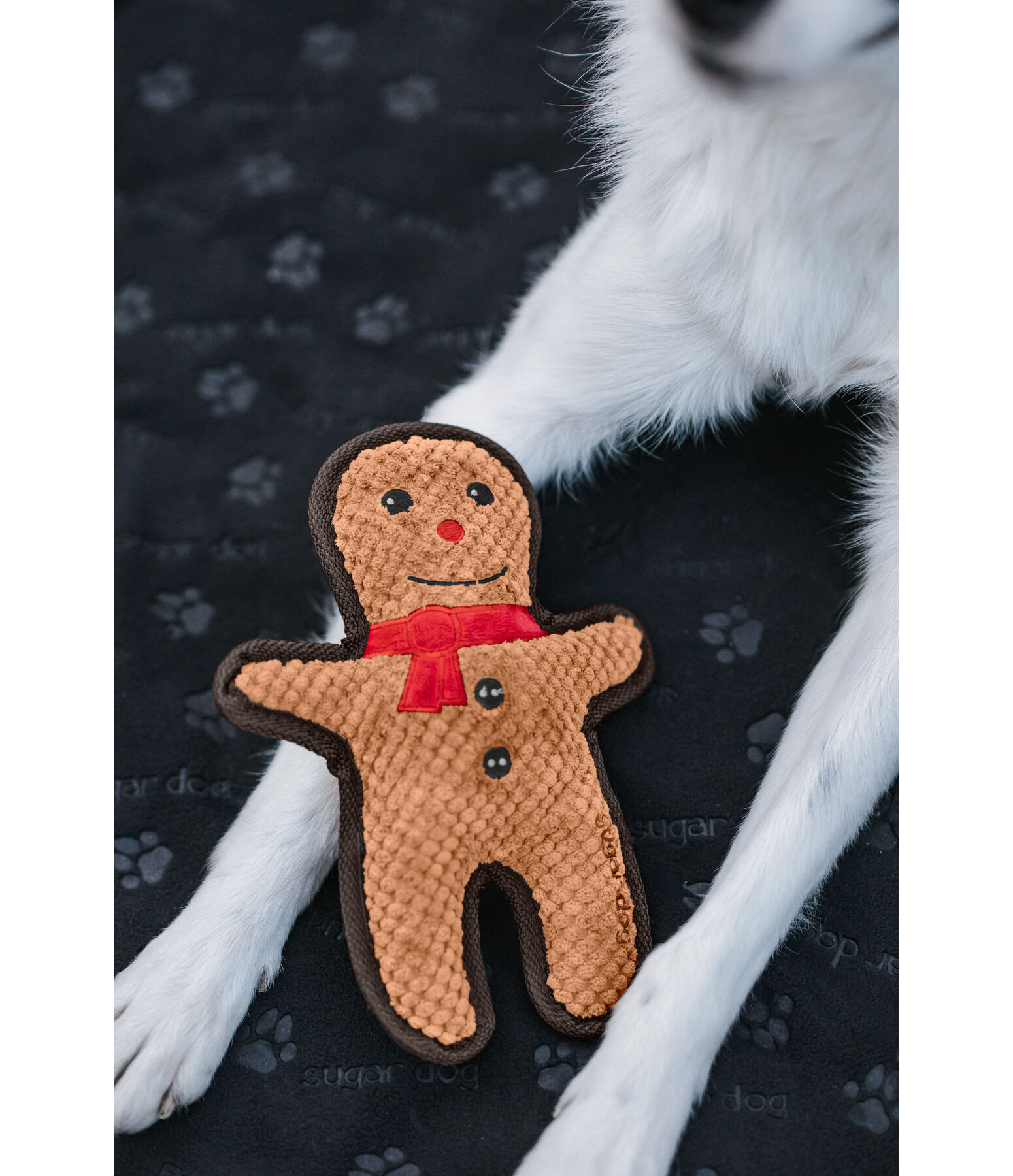 Dog Toy Gingerbread Man