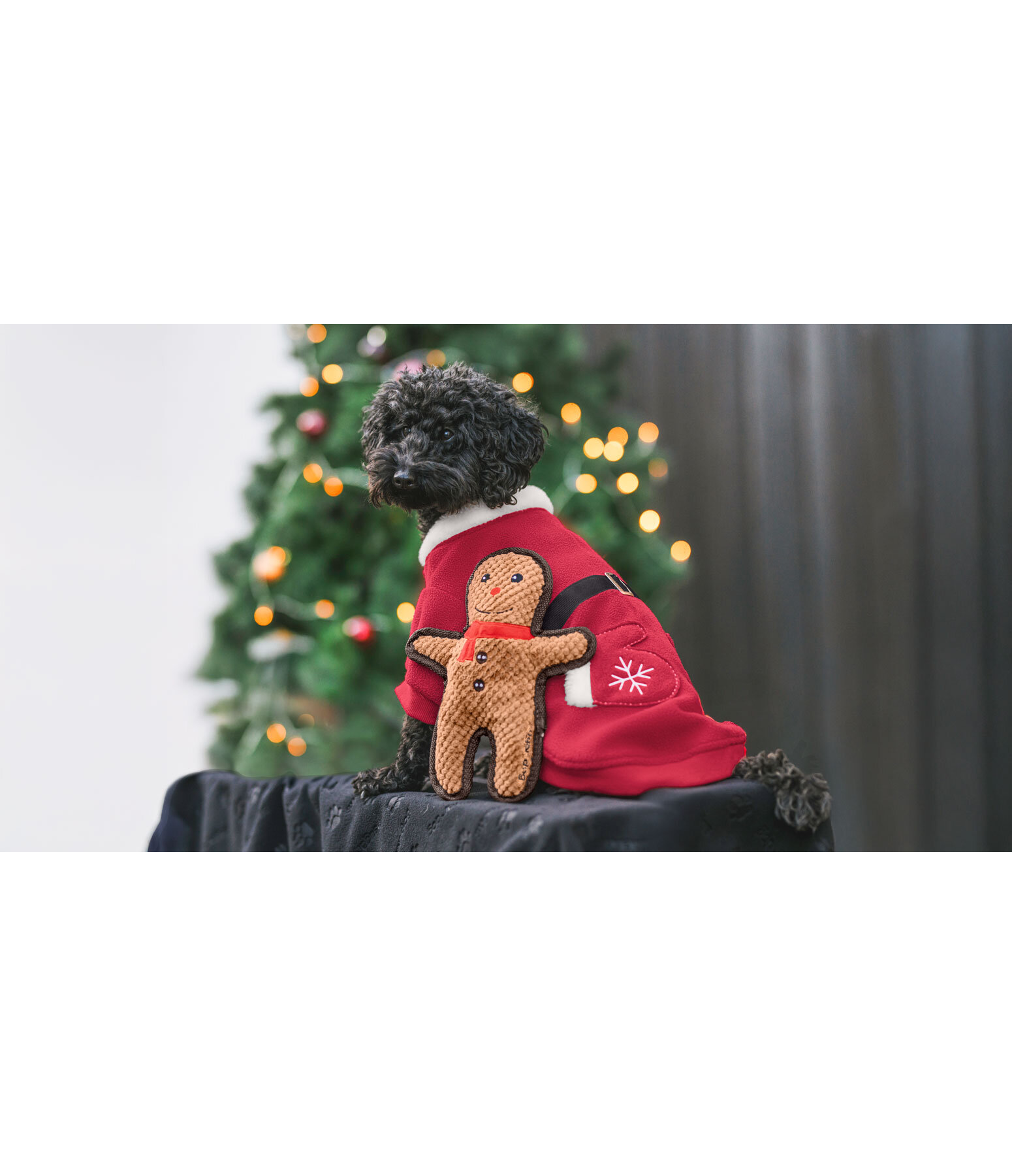 Dog Toy Gingerbread Man