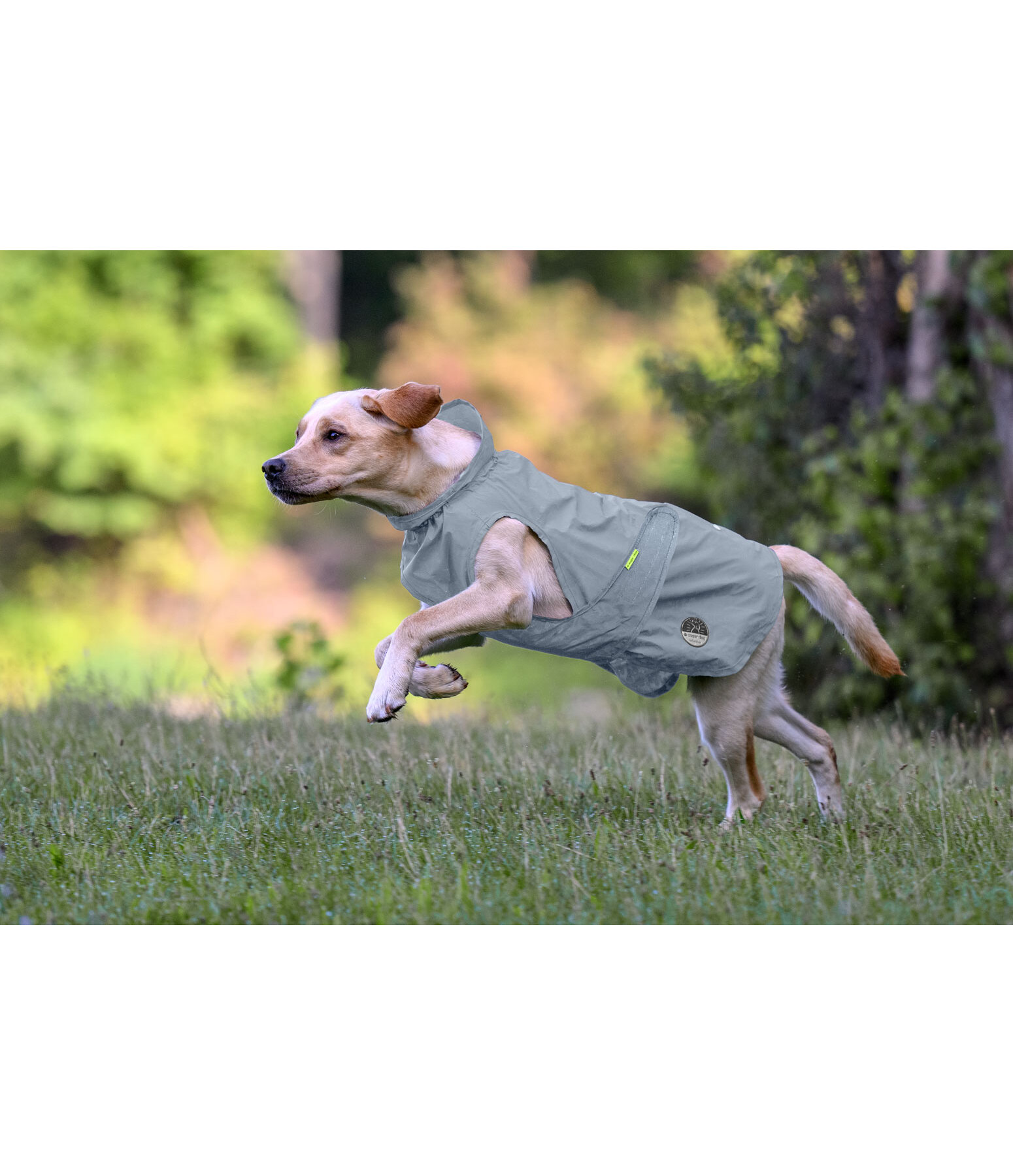 Hi-Vis Reflective Raincoat To Go