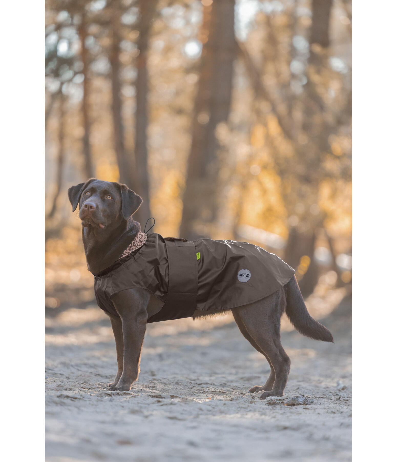 Dog Raincoat Emmi, 0g