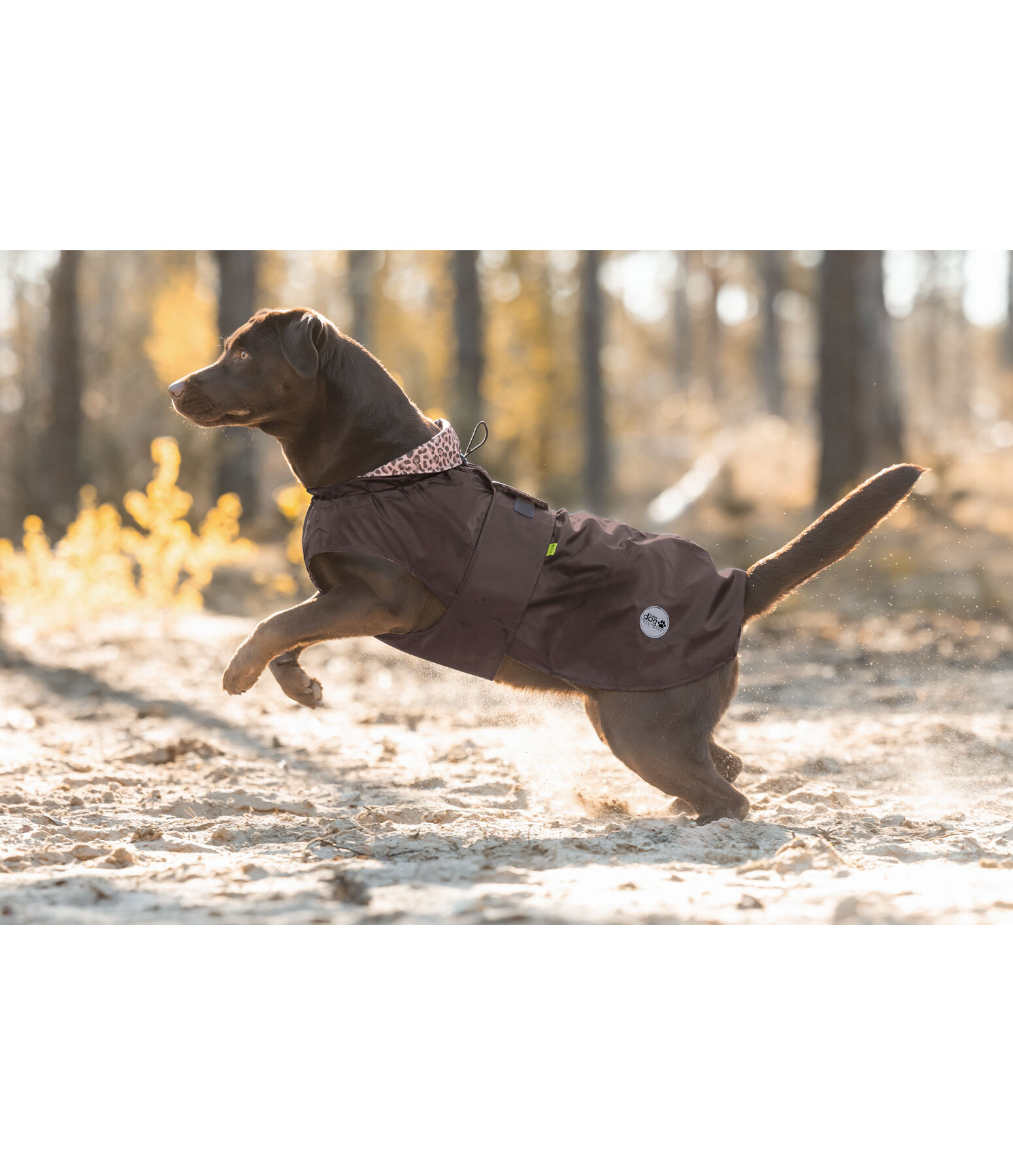 Dog Raincoat Emmi, 0g