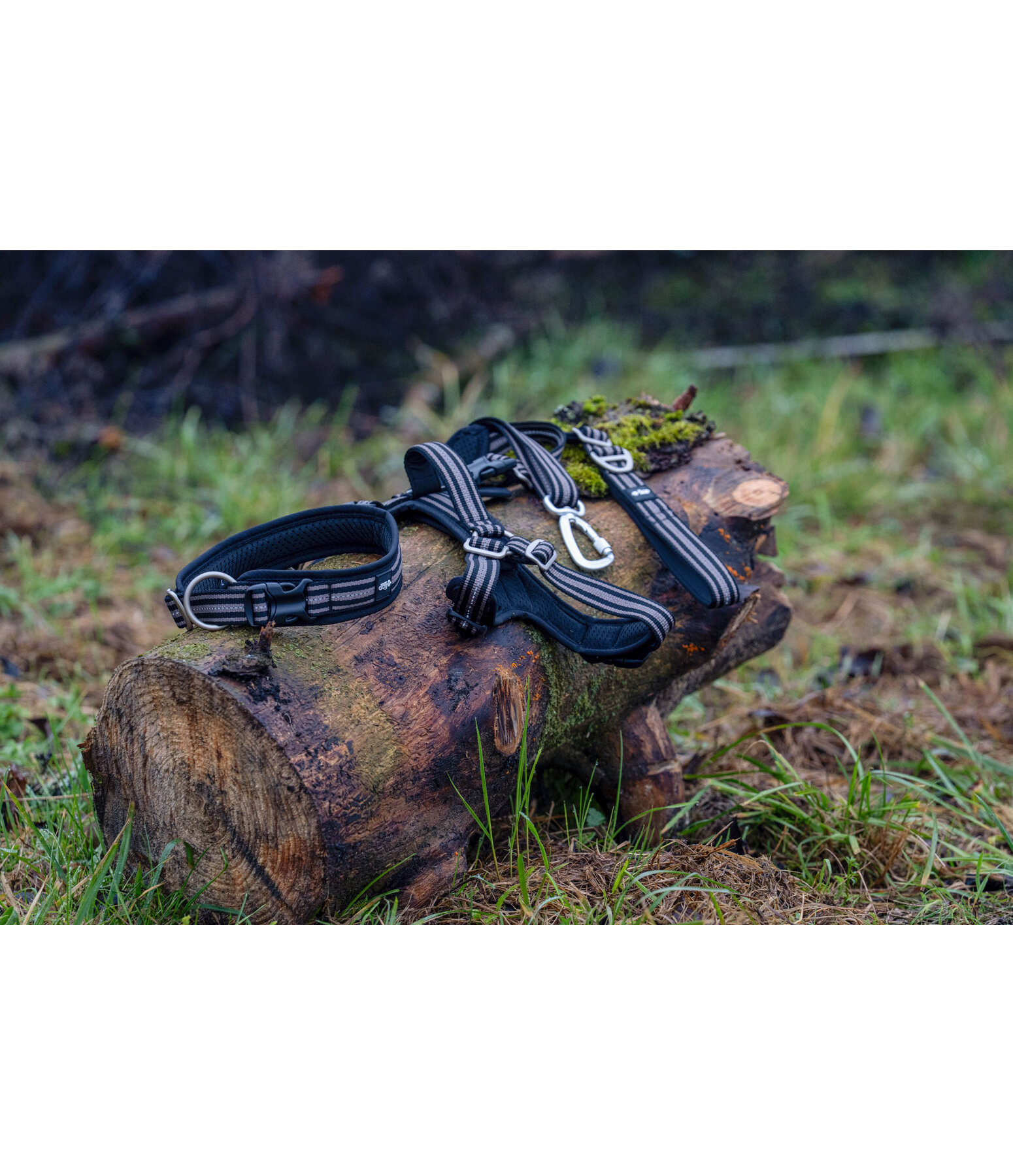 Dog Lead Comfort Fit