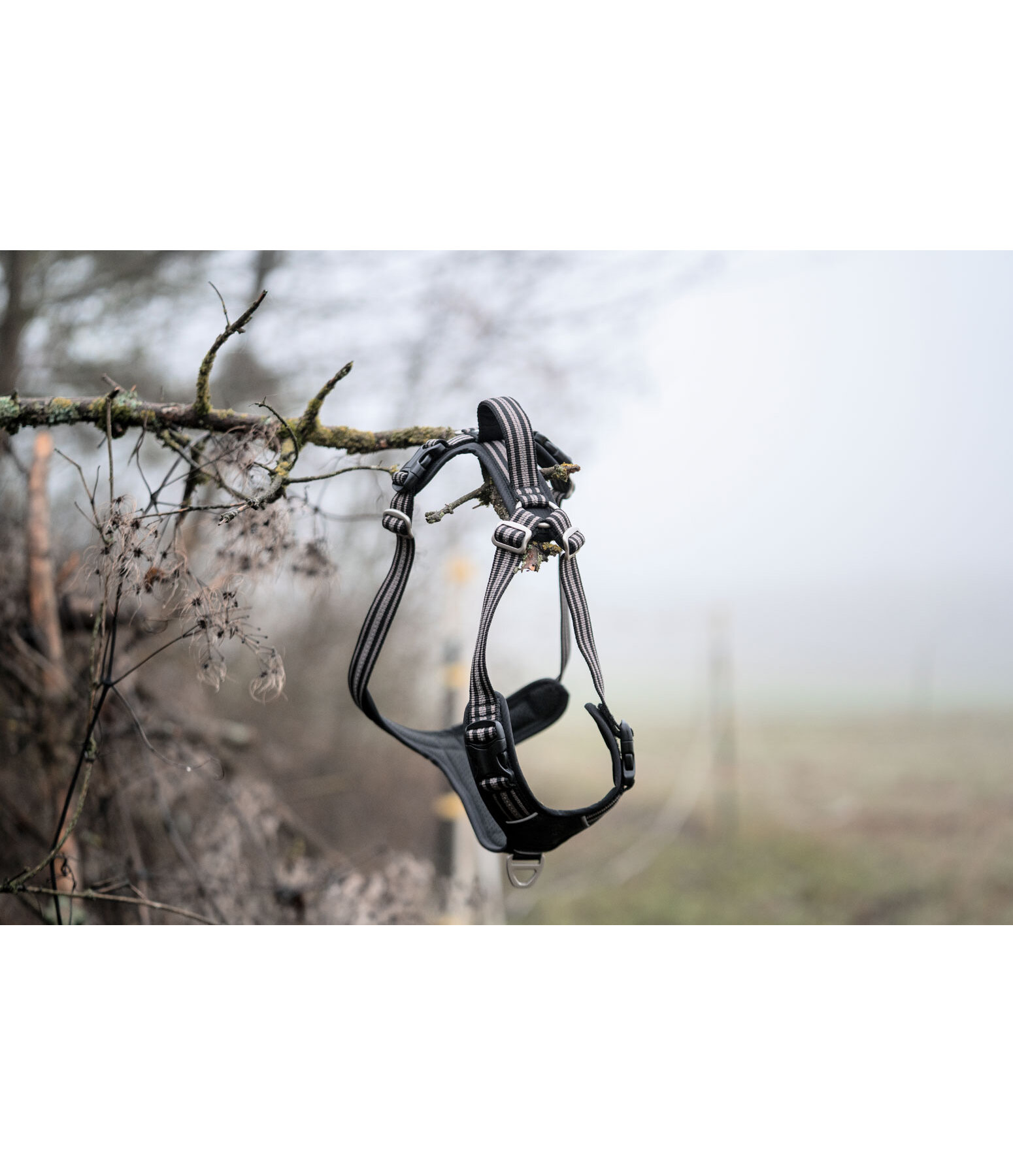 Dog Harness Comfort Fit