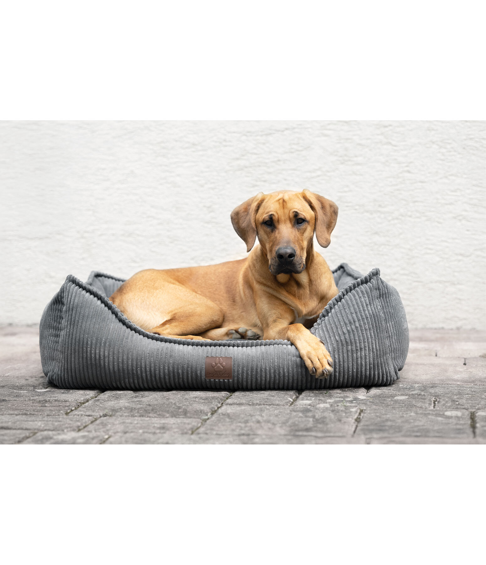 Dog Bed Cord